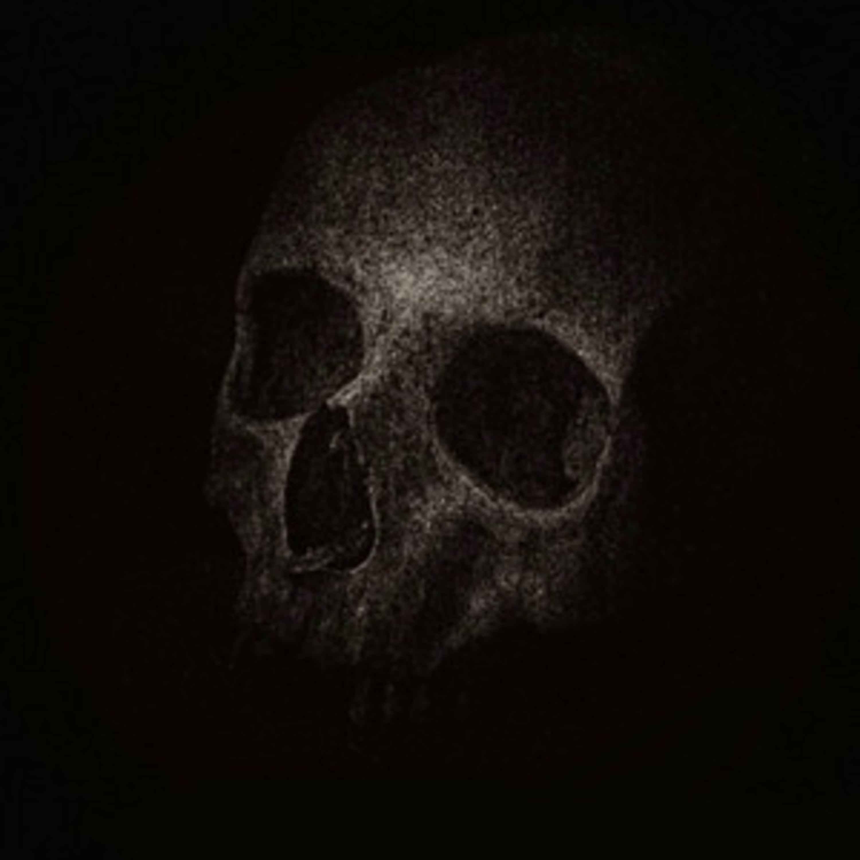 Shellshocked Radio Recommendations - And it was Night - What's Beyond the Light? - Gothic / Darkwave episode artwork