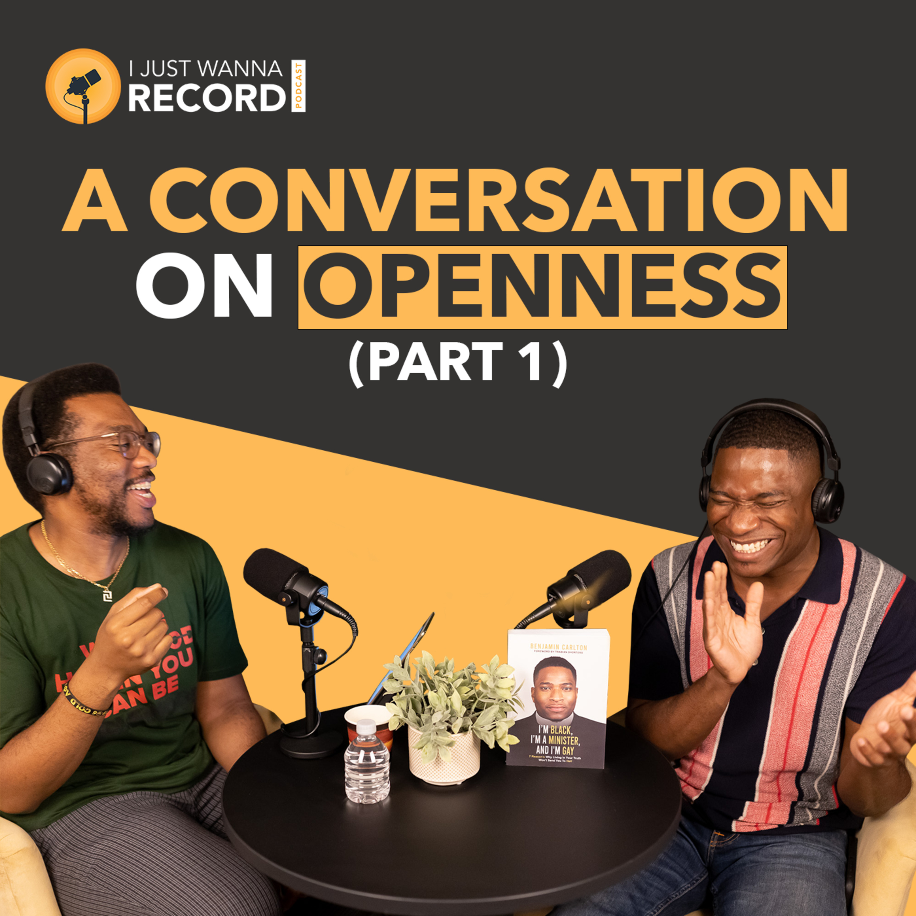 I Just Wanna Record Podcast