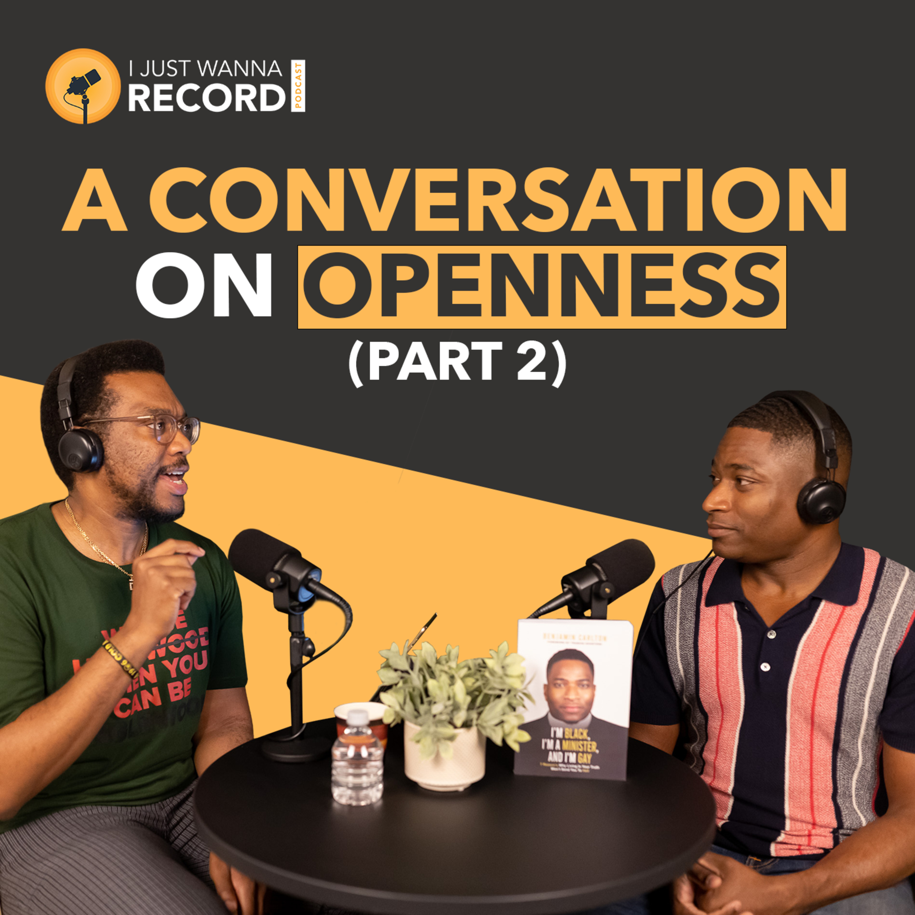I Just Wanna Record Podcast