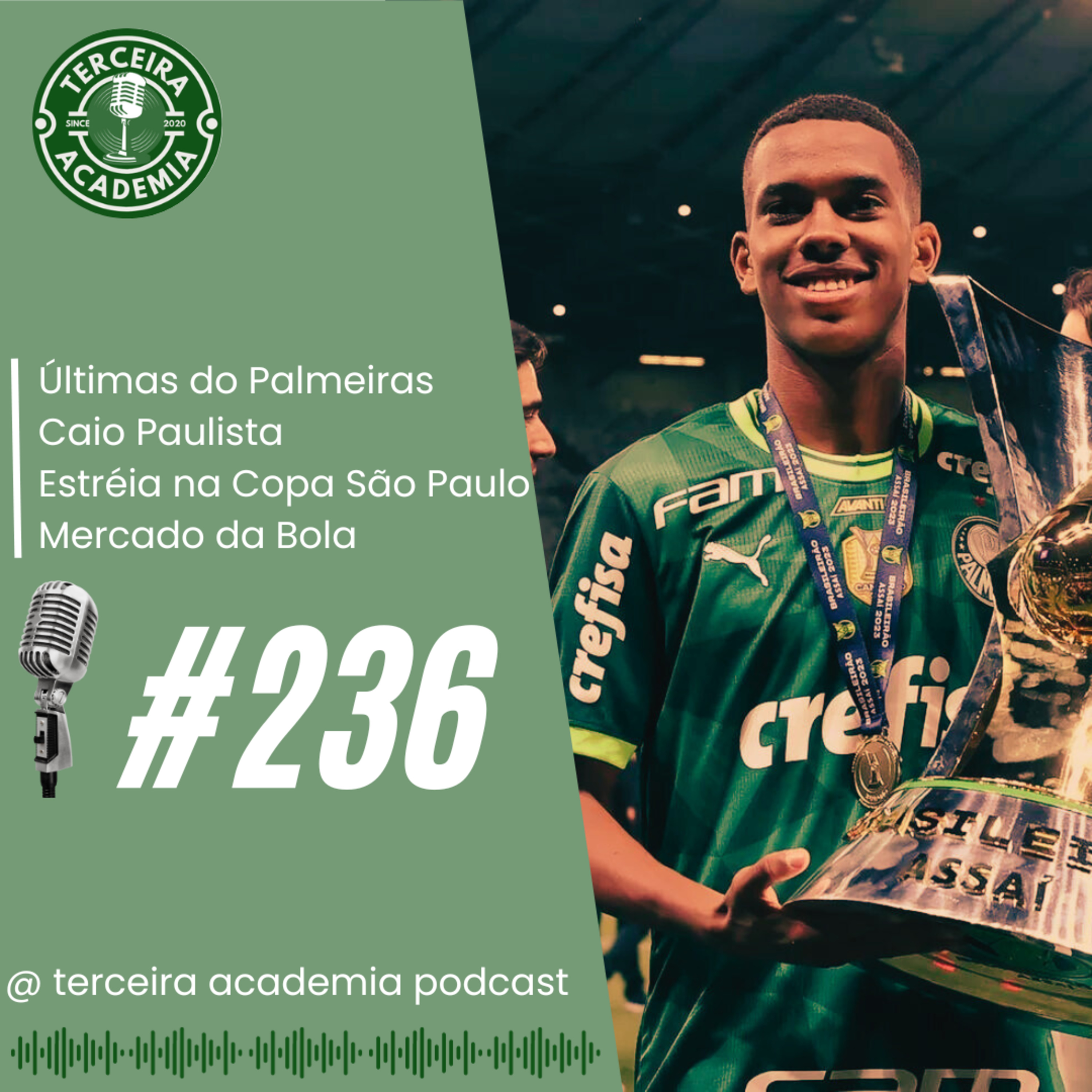 #236 | ÚLTIMAS DO PALMEIRAS | CAIO PAULISTA | ESTRÉIA NA COPA SÃO PAULO | MERCADO DA BOLA episode artwork