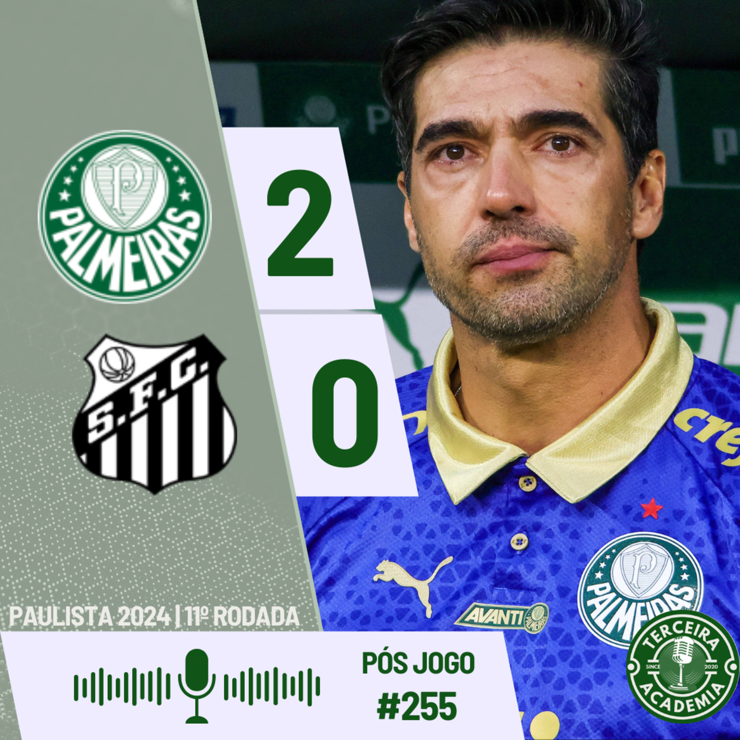 #255 | PALMEIRAS 2X0 SANTOS | LÁ DÉCIMA TAÇA DE ABEL FERREIRA  episode artwork
