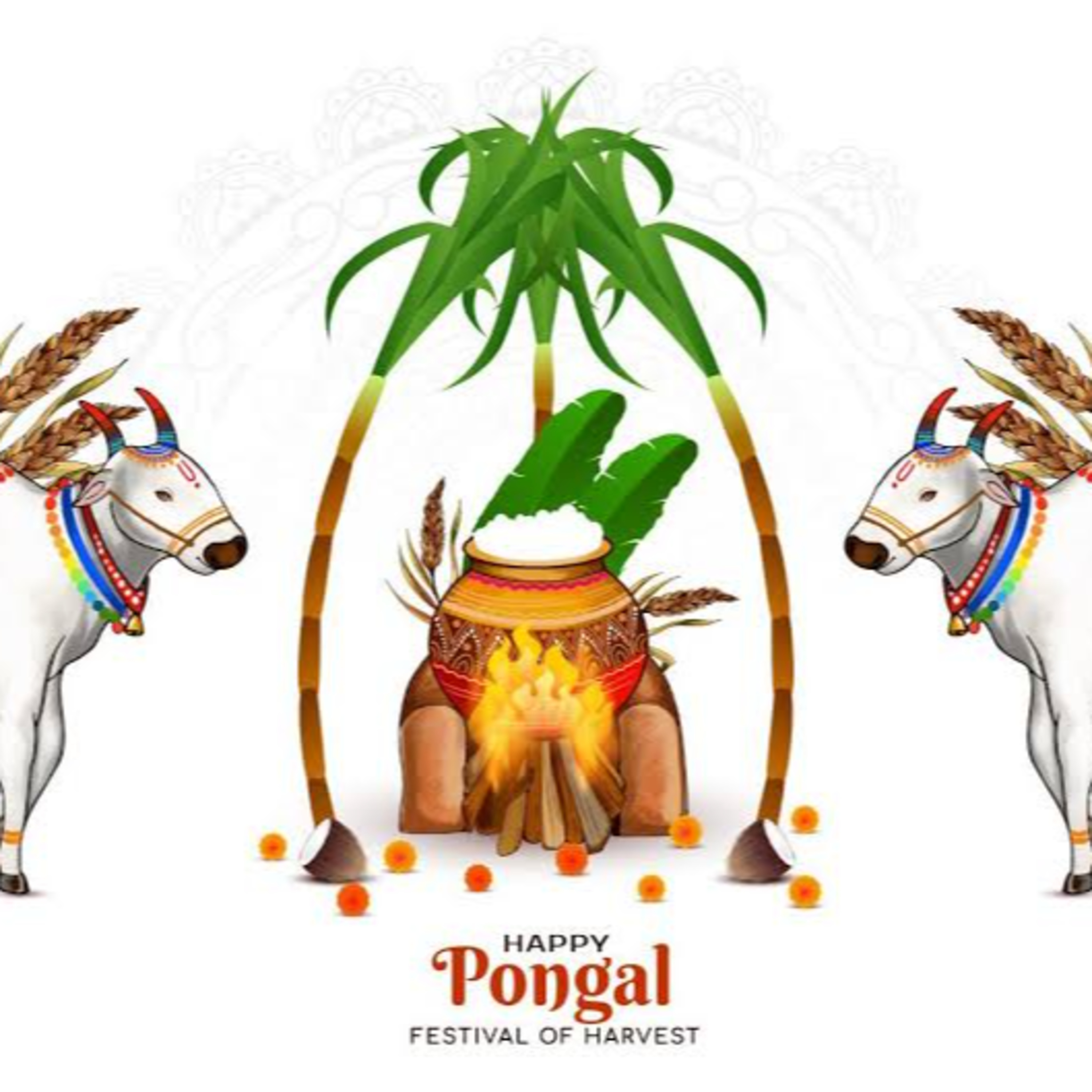 அடிக் கரும்பு  episode artwork