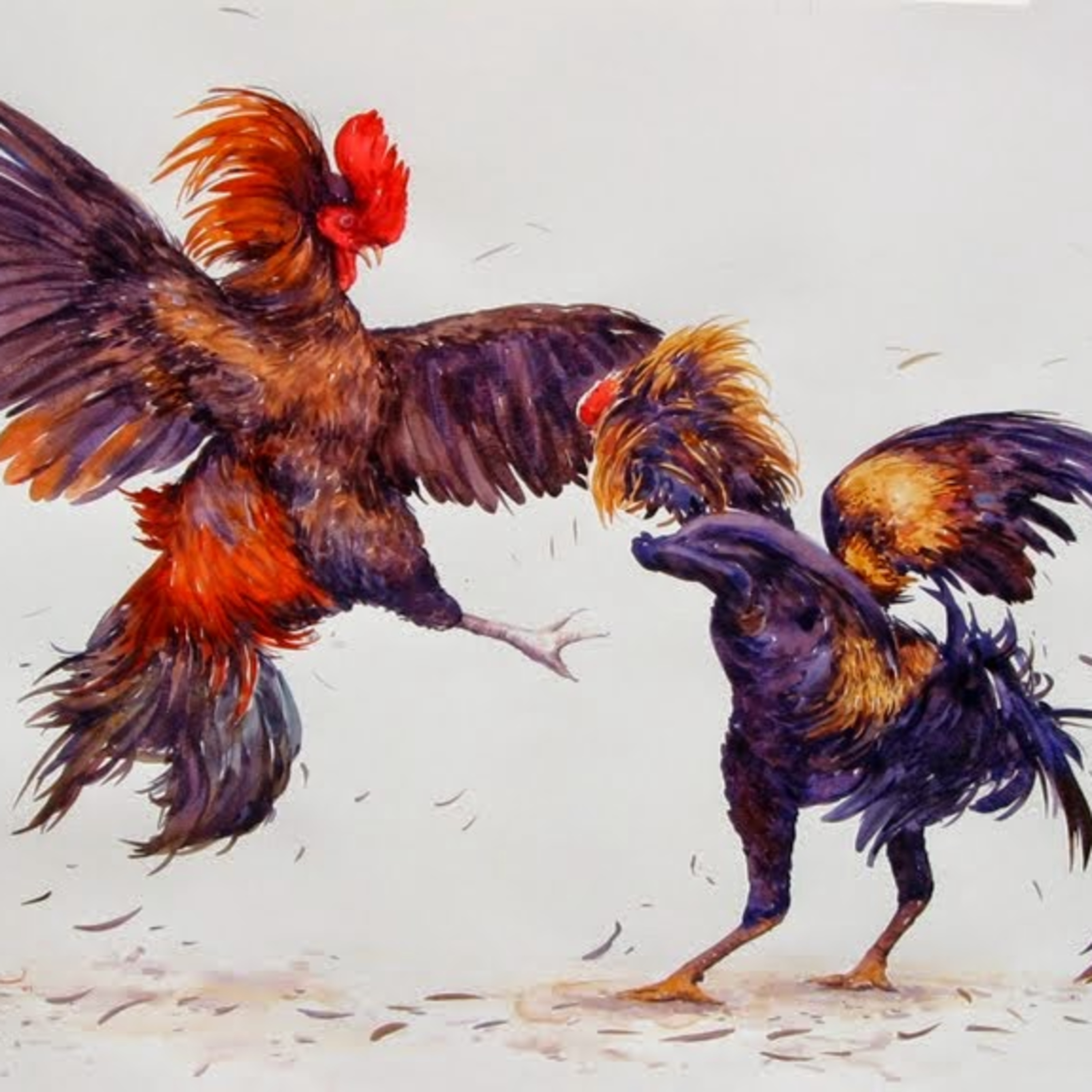 Rooster fights episode artwork
