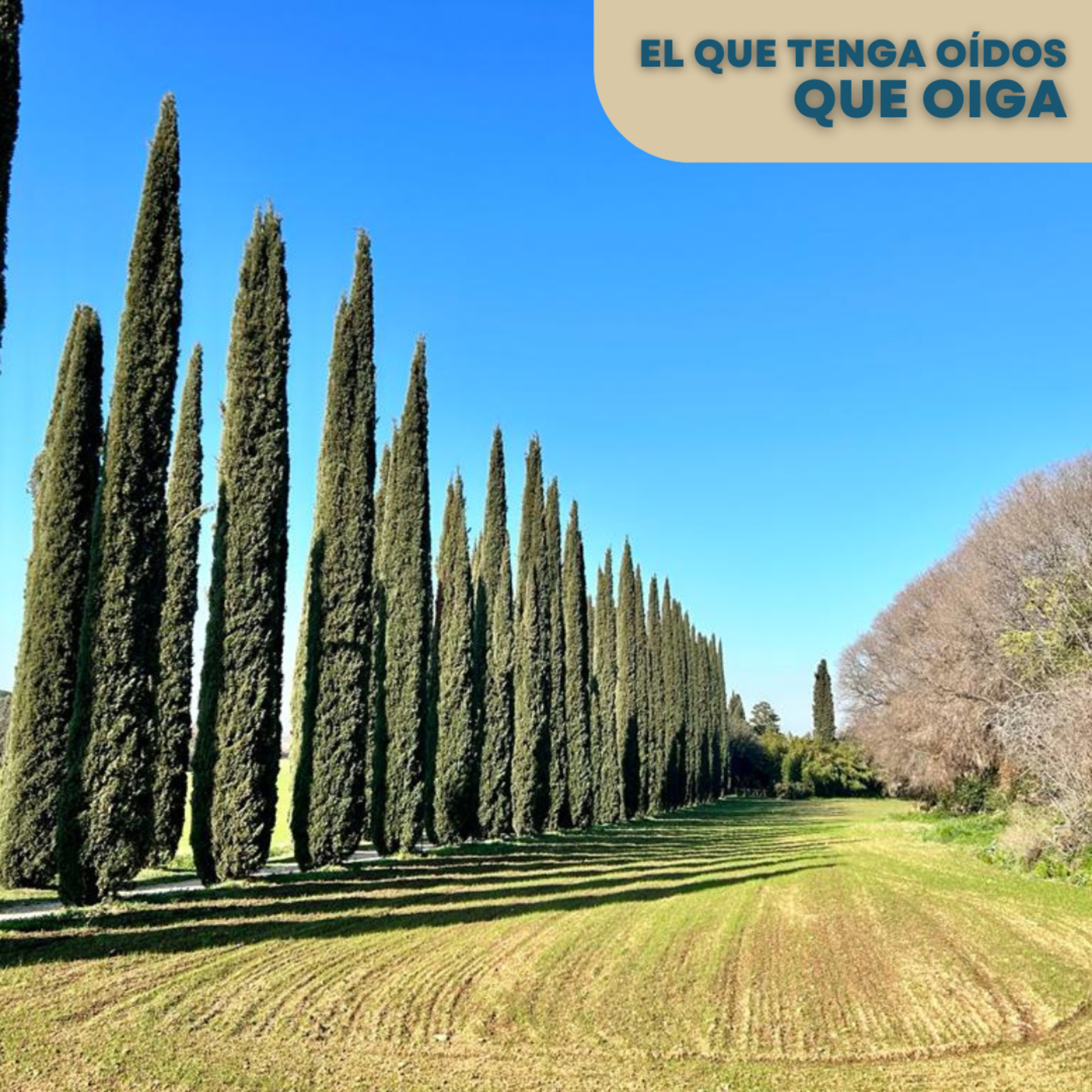 Portada de El que tenga oídos que oiga