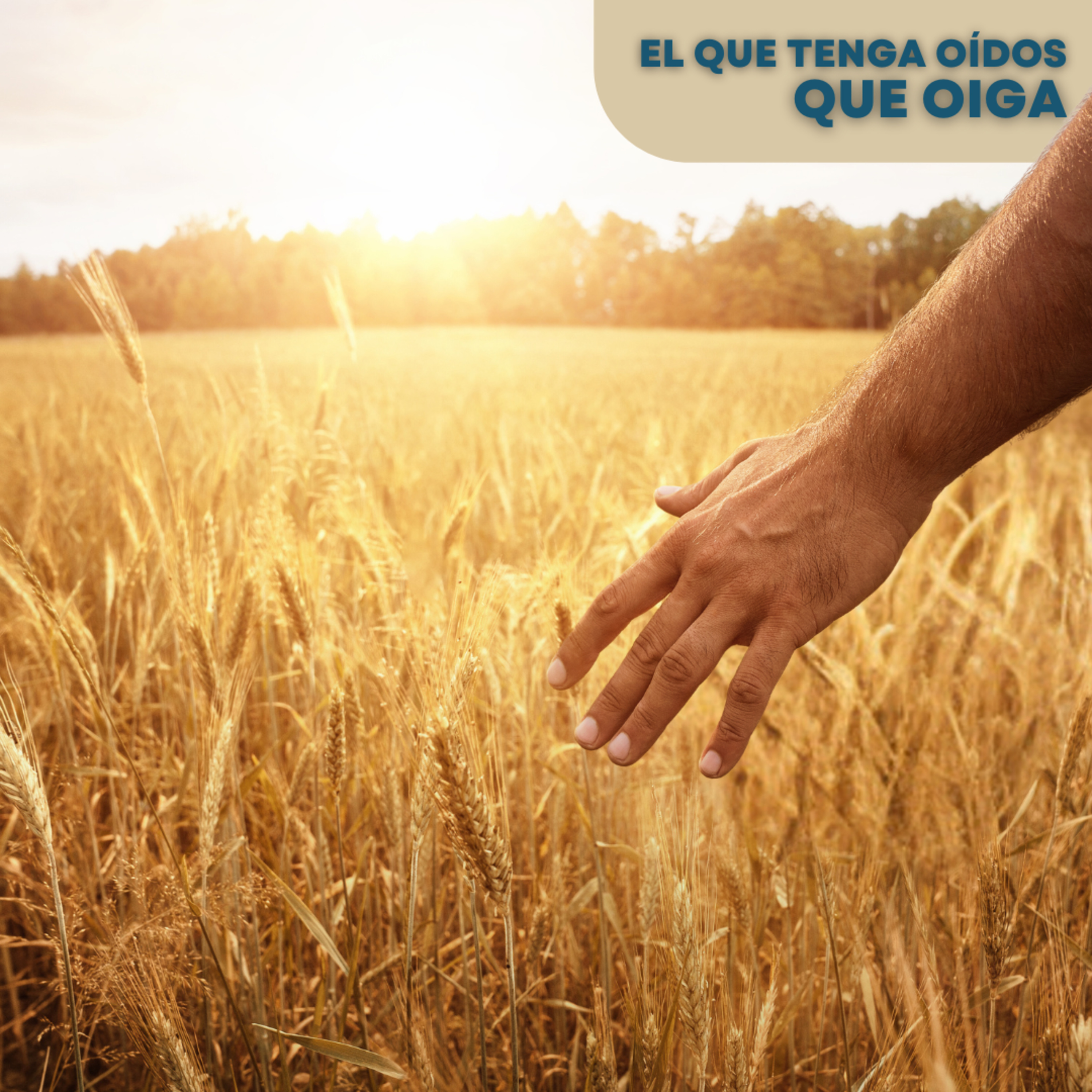 Domingo XXII del Tiempo Ordinario: "Lo que sale de dentro"