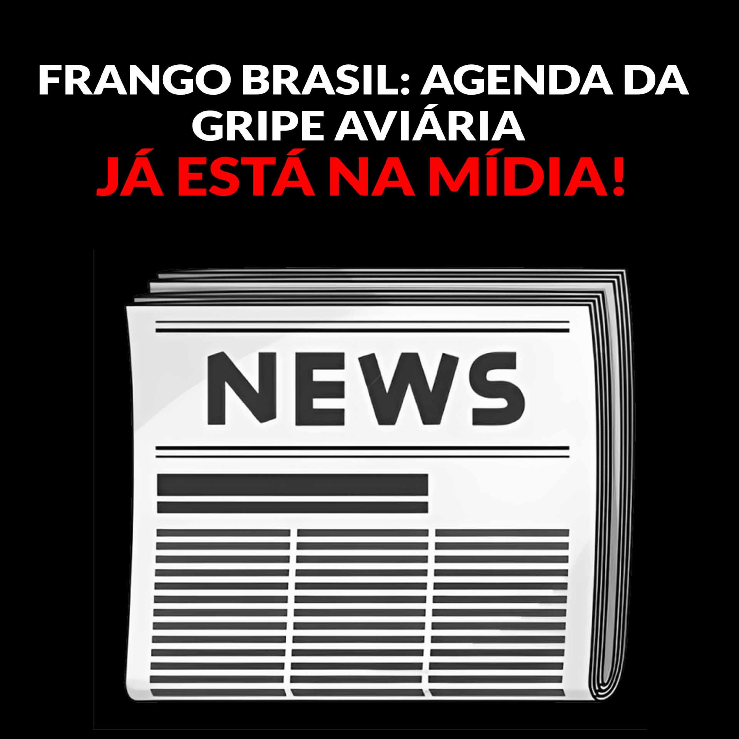 FRANGO BRASIL: AGENDA DA GRIPE AVIÁRIA JÁ ESTÁ NA MÍDIA!