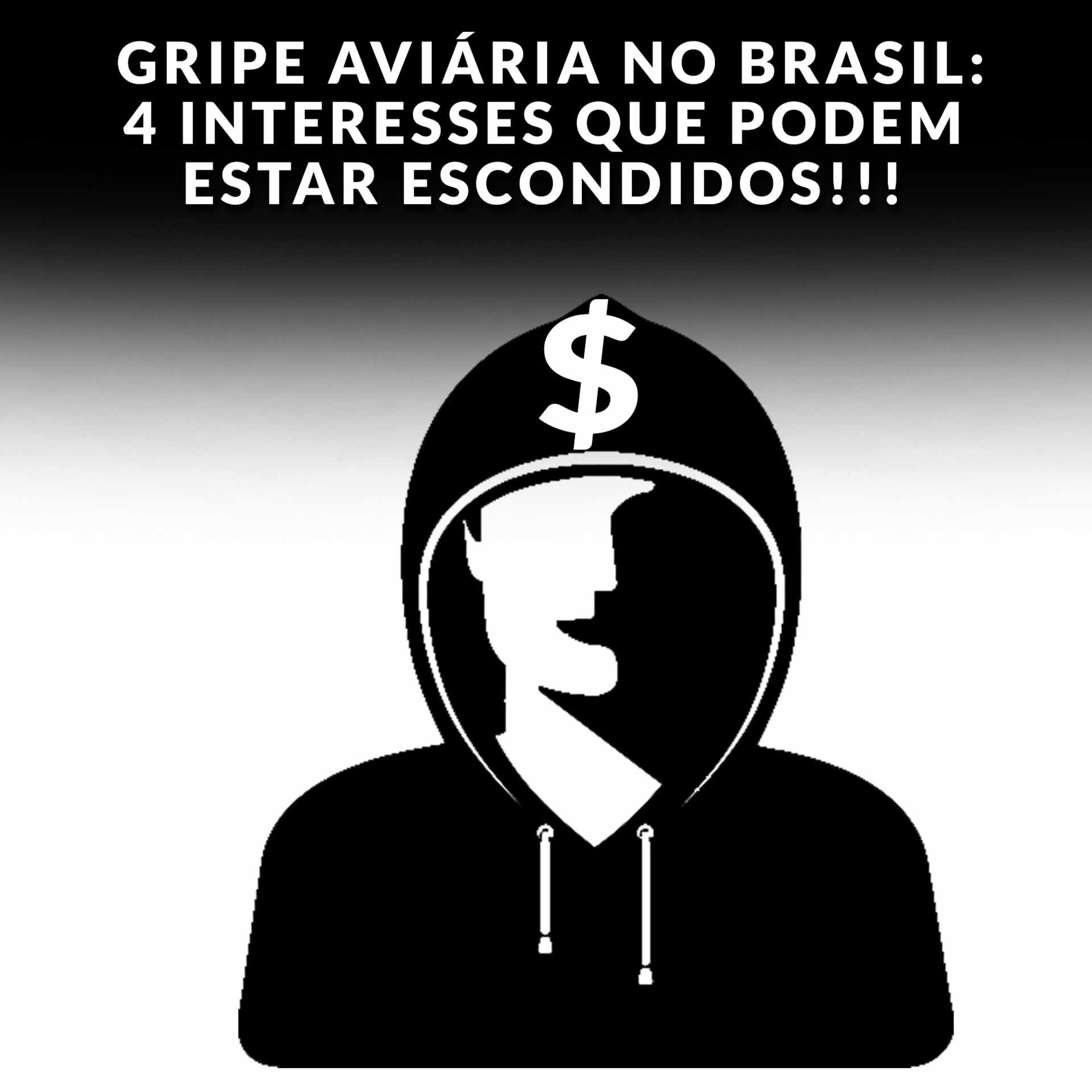 GRIPE AVIÁRIA NO BRASIL: 4 INTERESSES QUE PODEM ESTAR ESCONDIDOS!!!