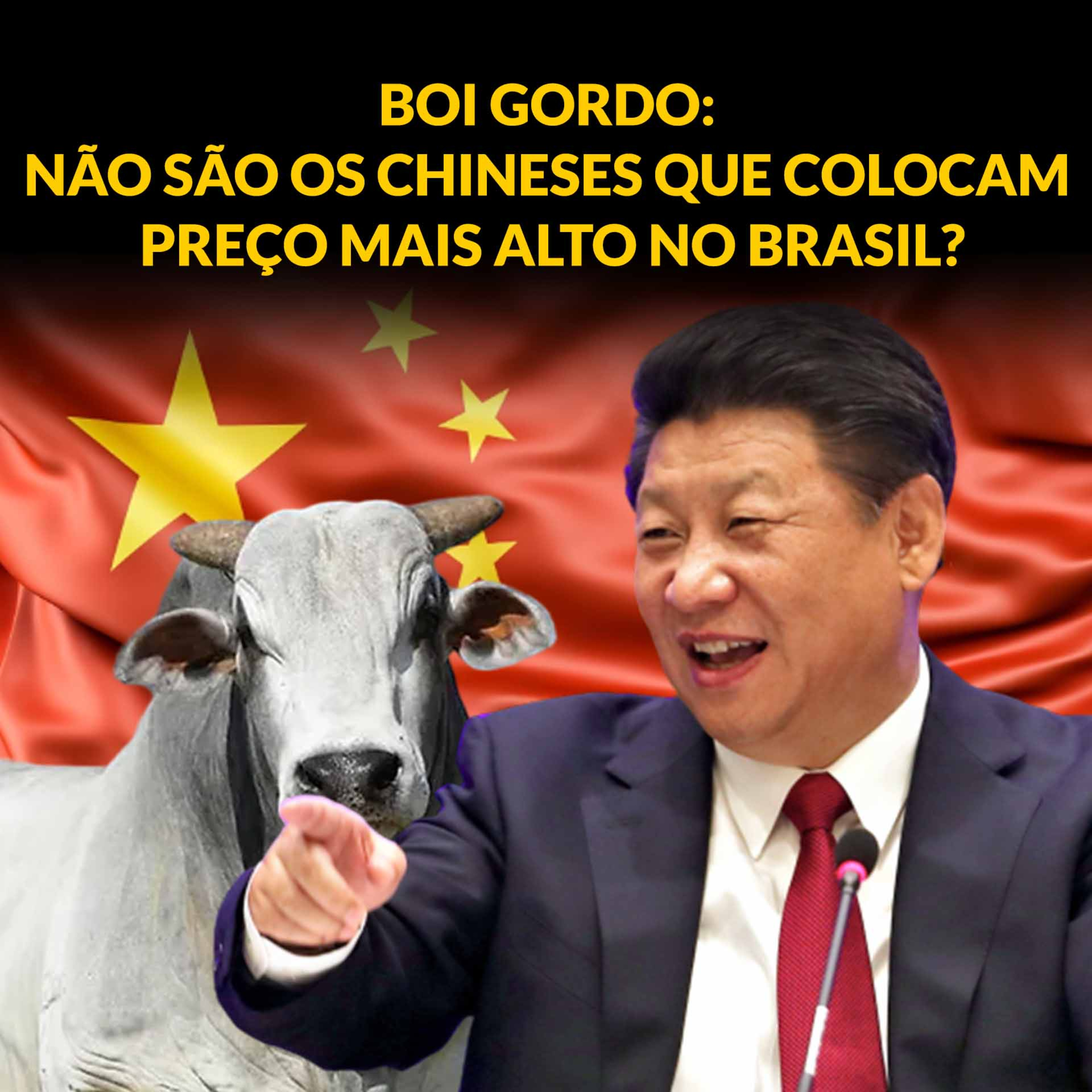 BOI GORDO: NÃO SÃO OS CHINESES QUE COLOCAM PREÇO MAIS ALTO NO BRASIL? episode artwork