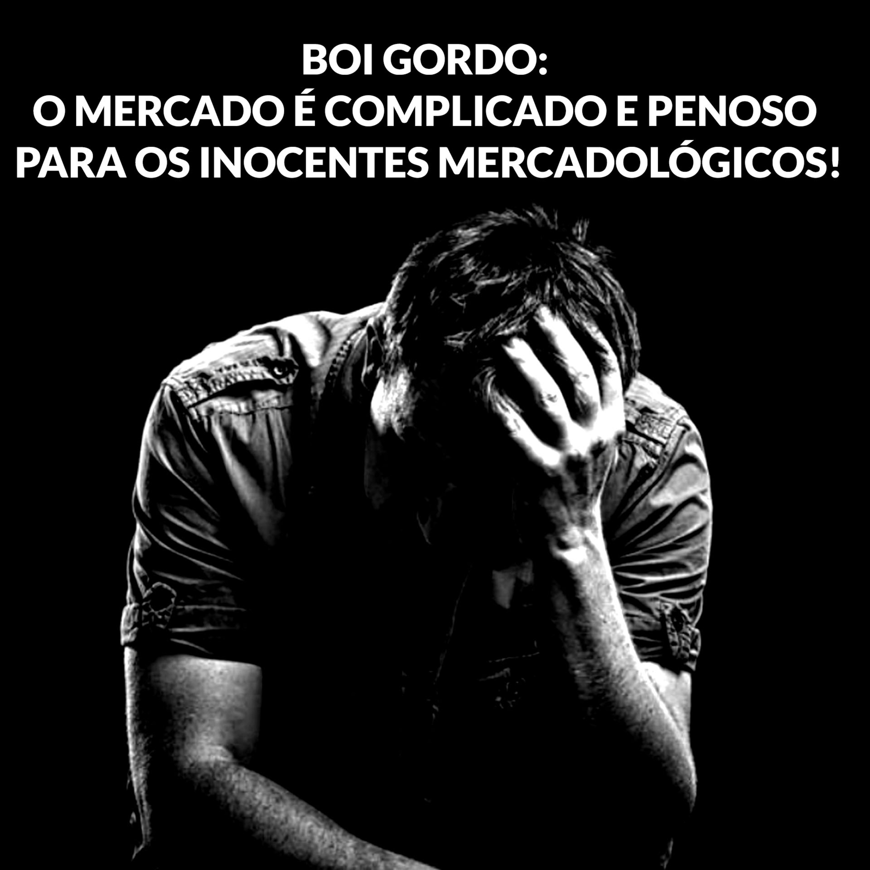 BOI GORDO: O MERCADO É COMPLICADO E PENOSO PARA OS INOCENTES MERCADOLÓGICOS! episode artwork