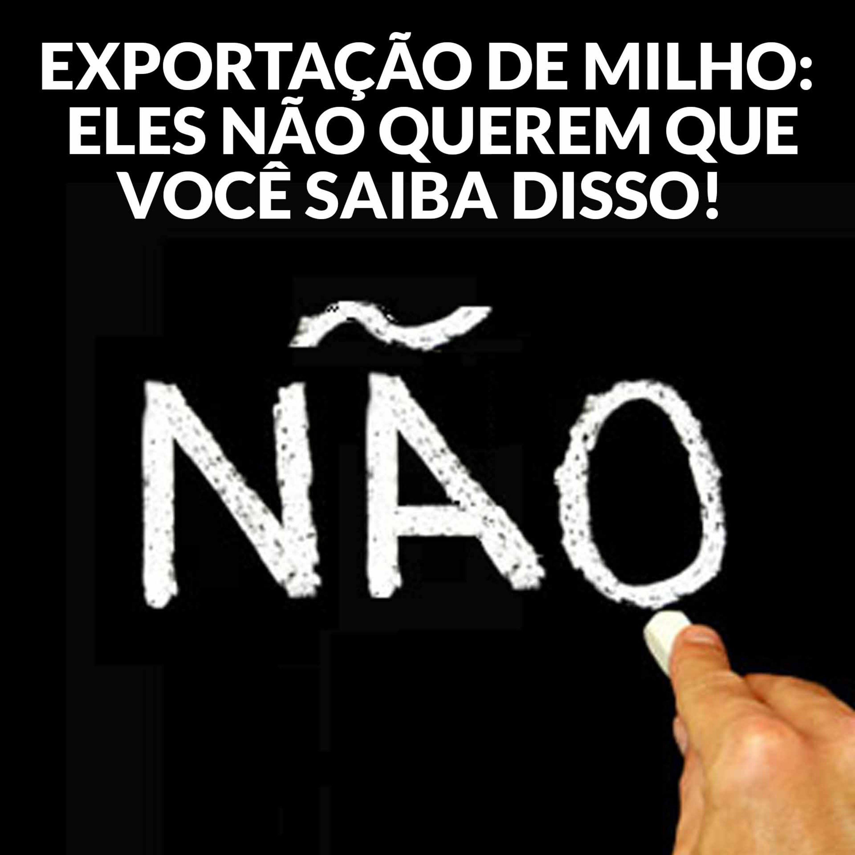 EXPORTAÇÃO DE MILHO: ELES NÃO QUEREM QUE VOCÊ SAIBA DISSO! episode artwork