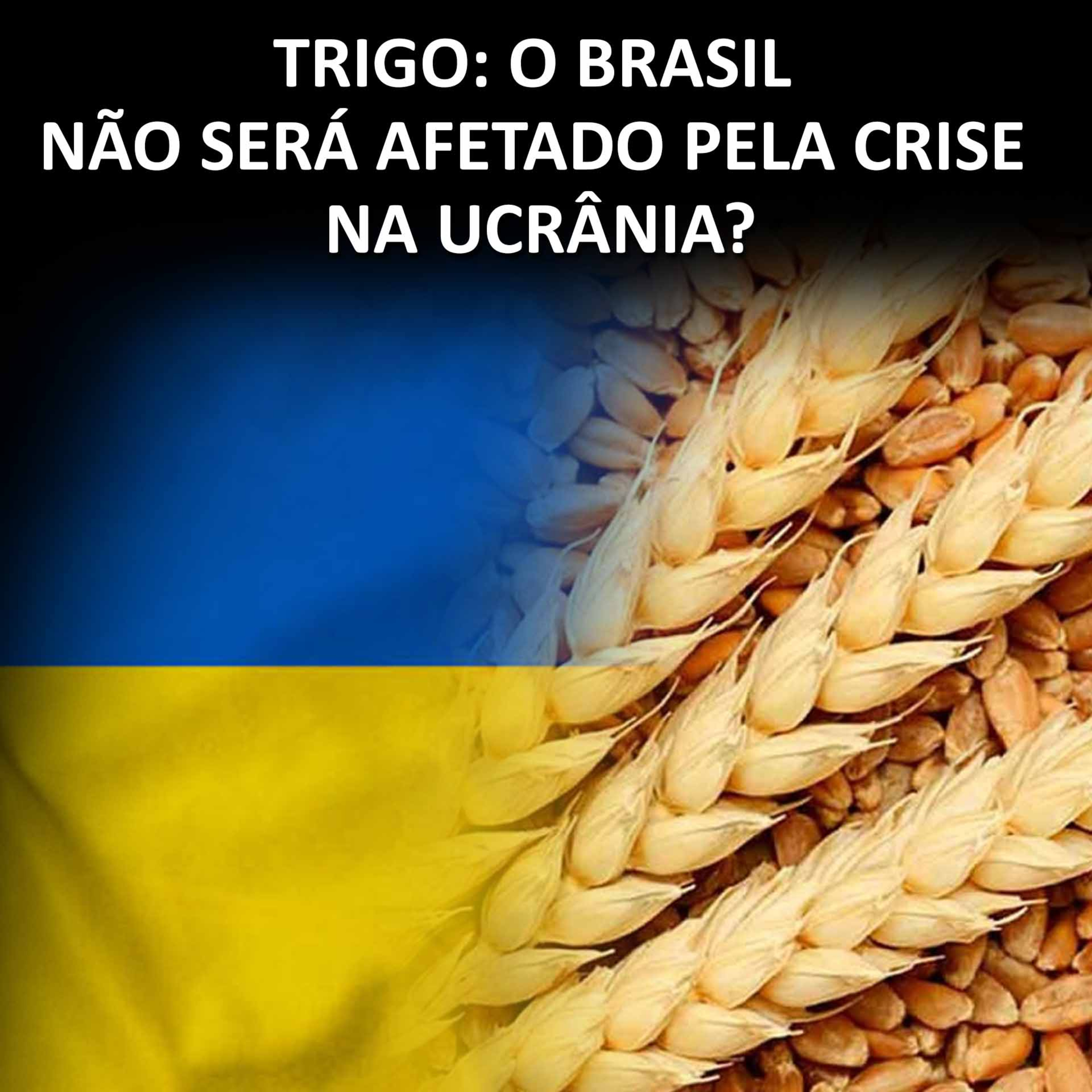 TRIGO: O BRASIL NÃO SERÁ AFETADO PELA CRISE NA UCRÂNIA? episode artwork