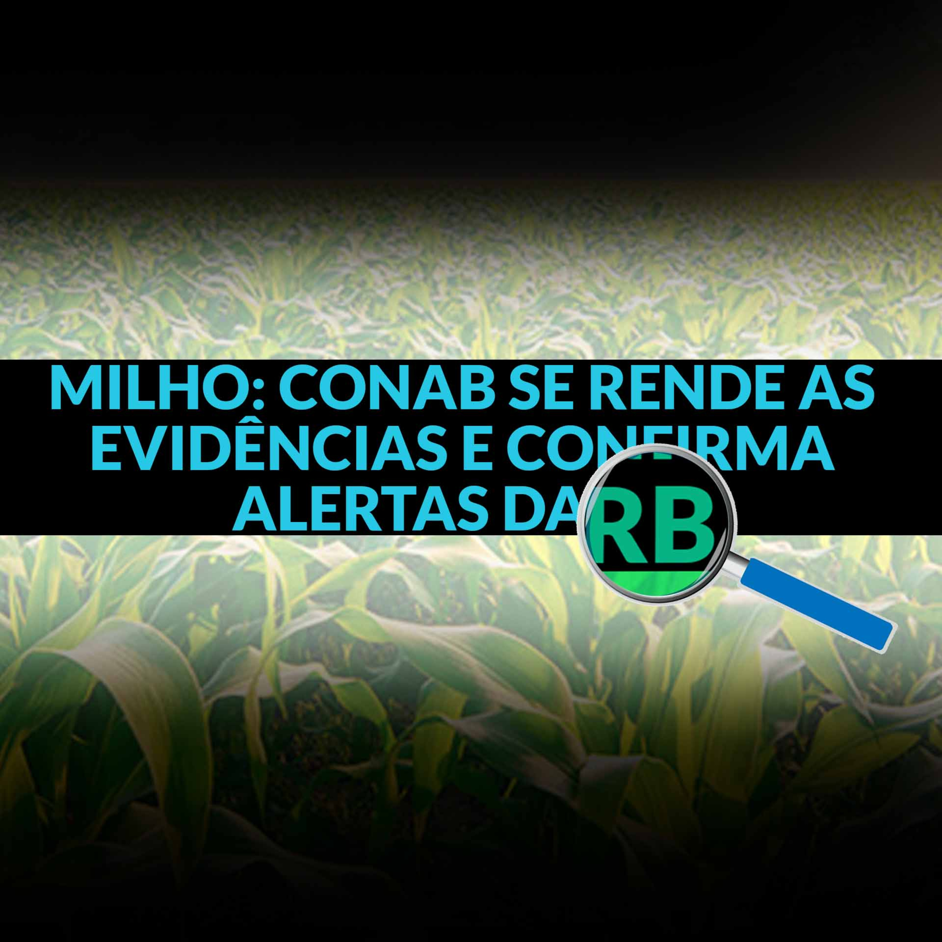 MILHO: CONAB SE RENDE AS EVIDÊNCIAS E CONFIRMA ALERTAS DA RURAL BUSINESS! episode artwork