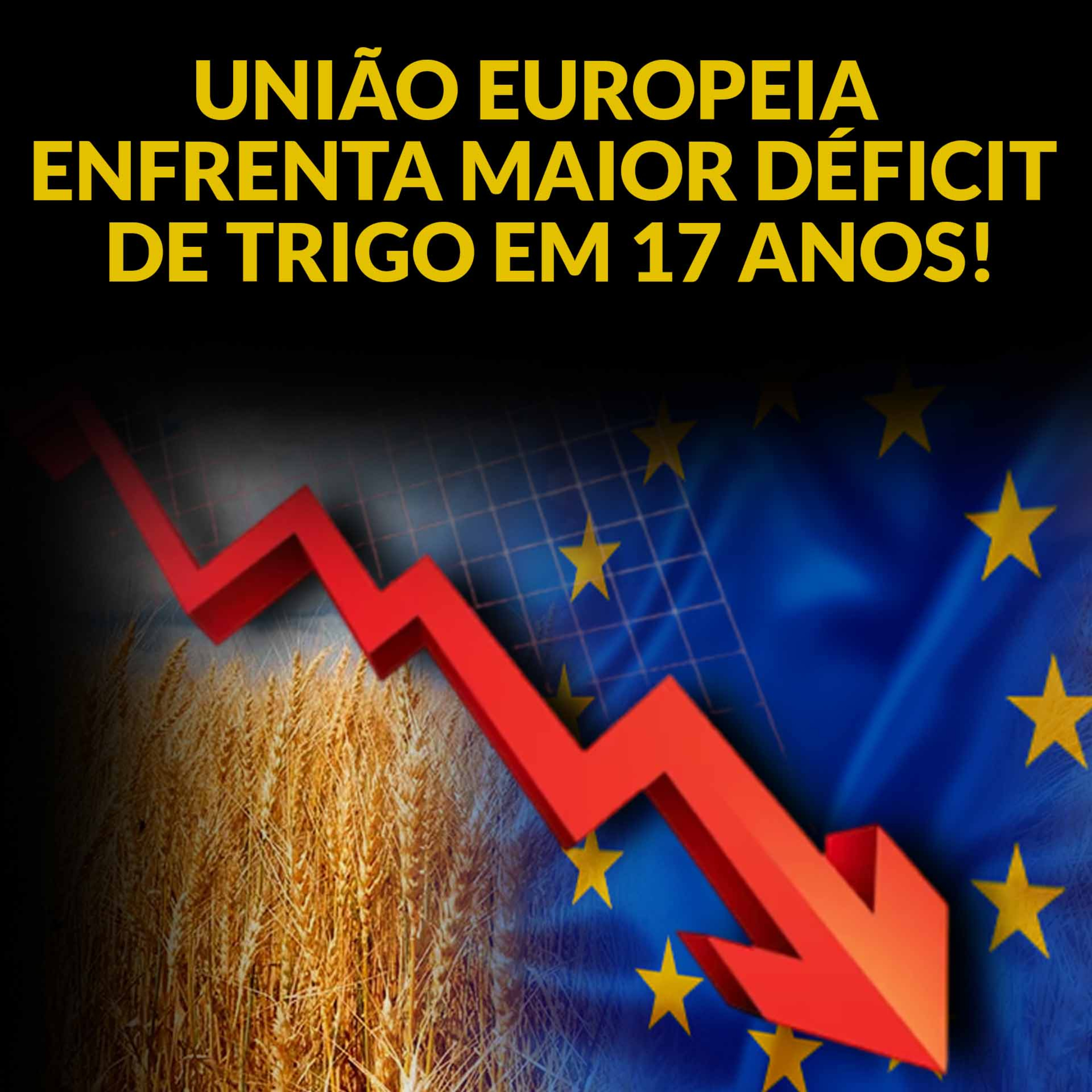 UNIÃO EUROPEIA ENFRENTA MAIOR DÉFICIT DE TRIGO EM 17 ANOS! episode artwork