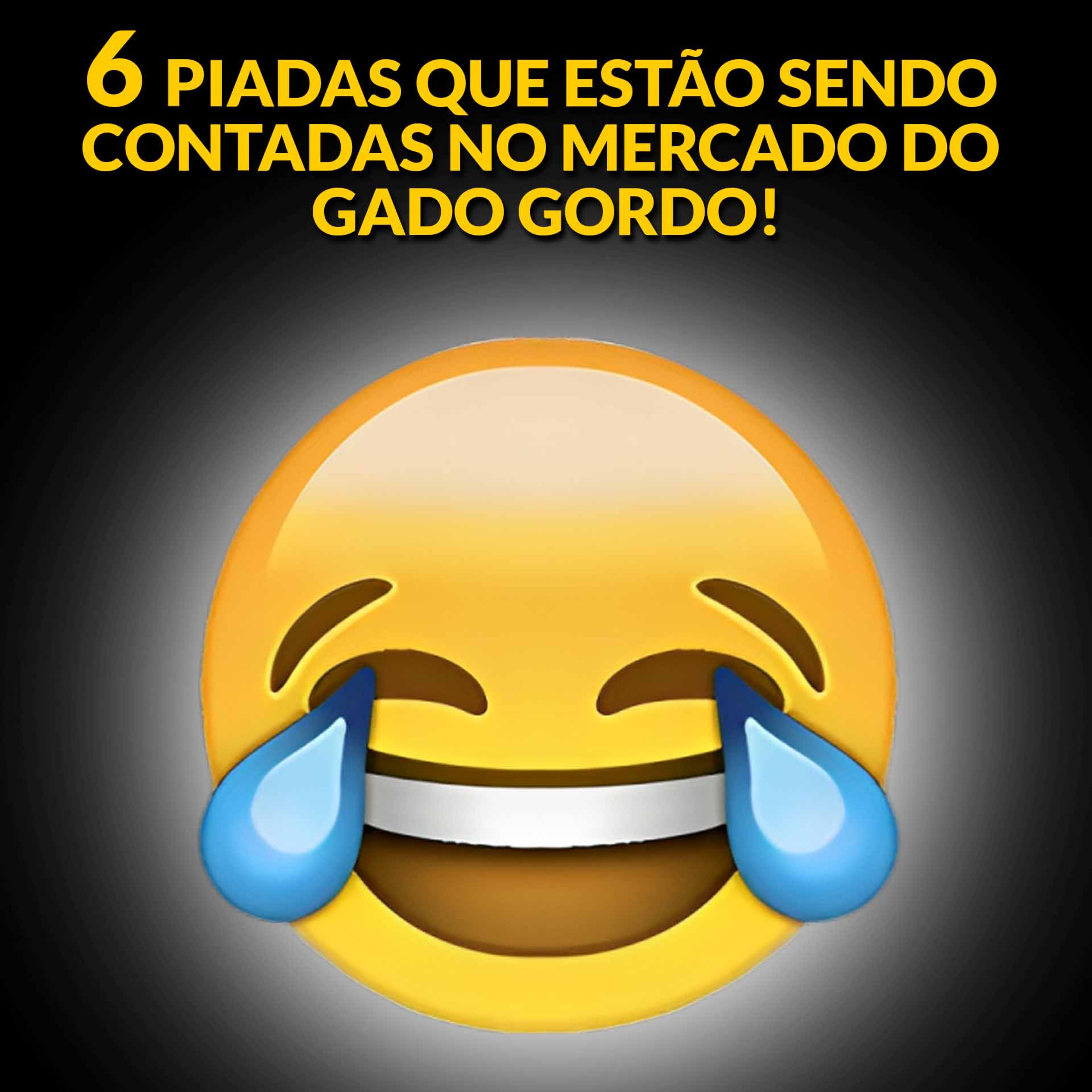 6 PIADAS QUE ESTÃO SENDO CONTADAS NO MERCADO DO GADO GORDO!