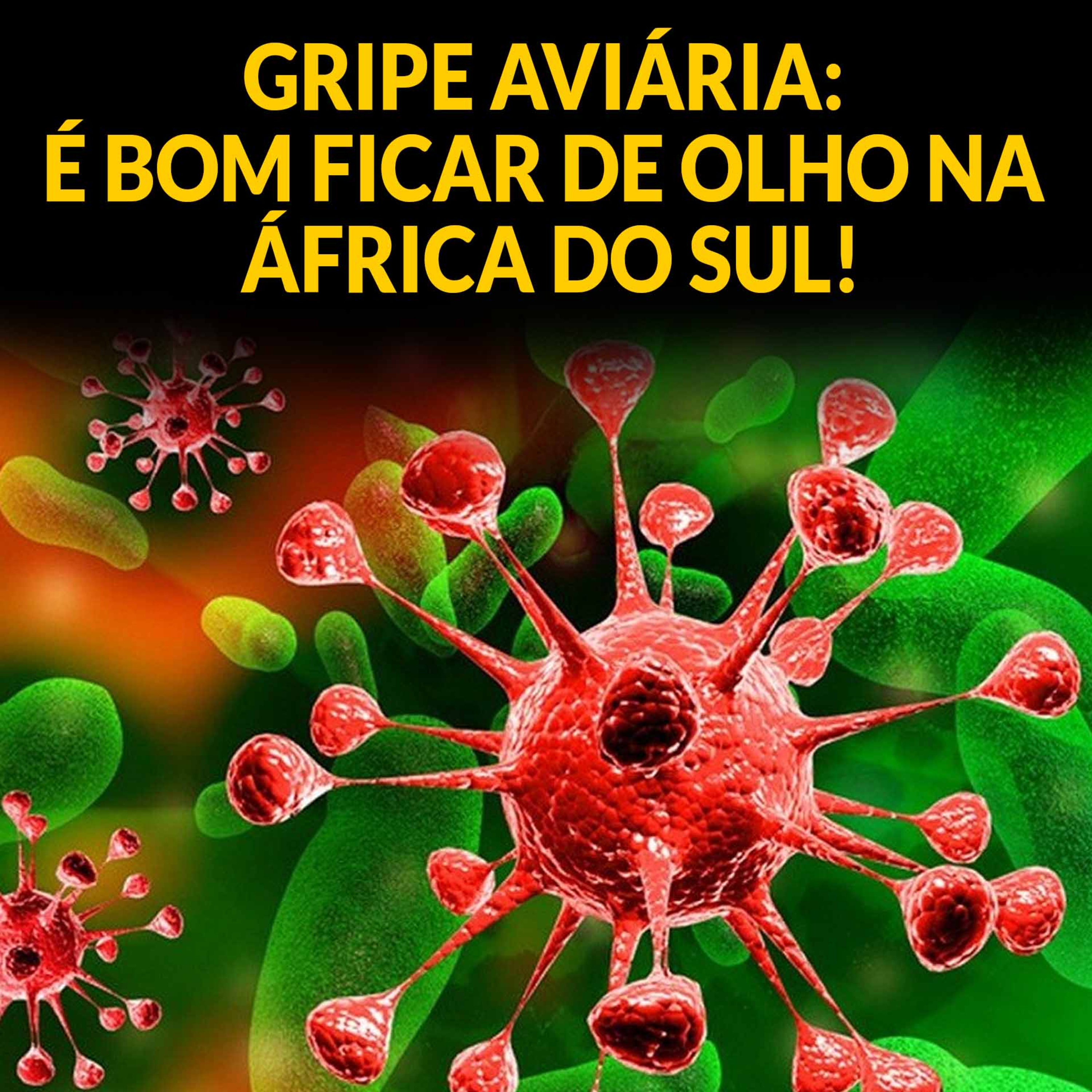 GRIPE AVIÁRIA: É BOM FICAR DE OLHO NA ÁFRICA DO SUL! episode artwork