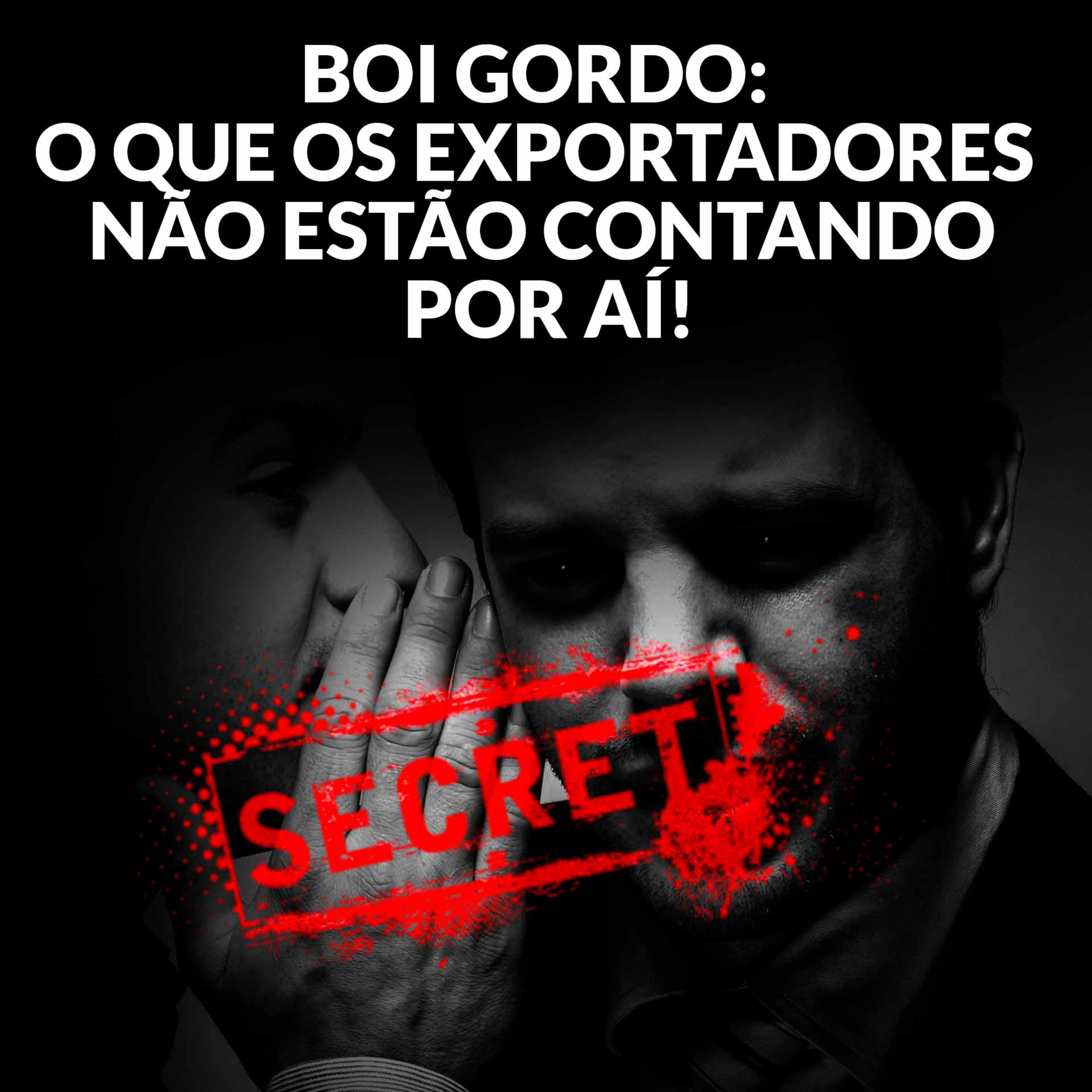 BOI GORDO: O QUE OS EXPORTADORES NÃO ESTÃO CONTANDO POR AÍ! episode artwork