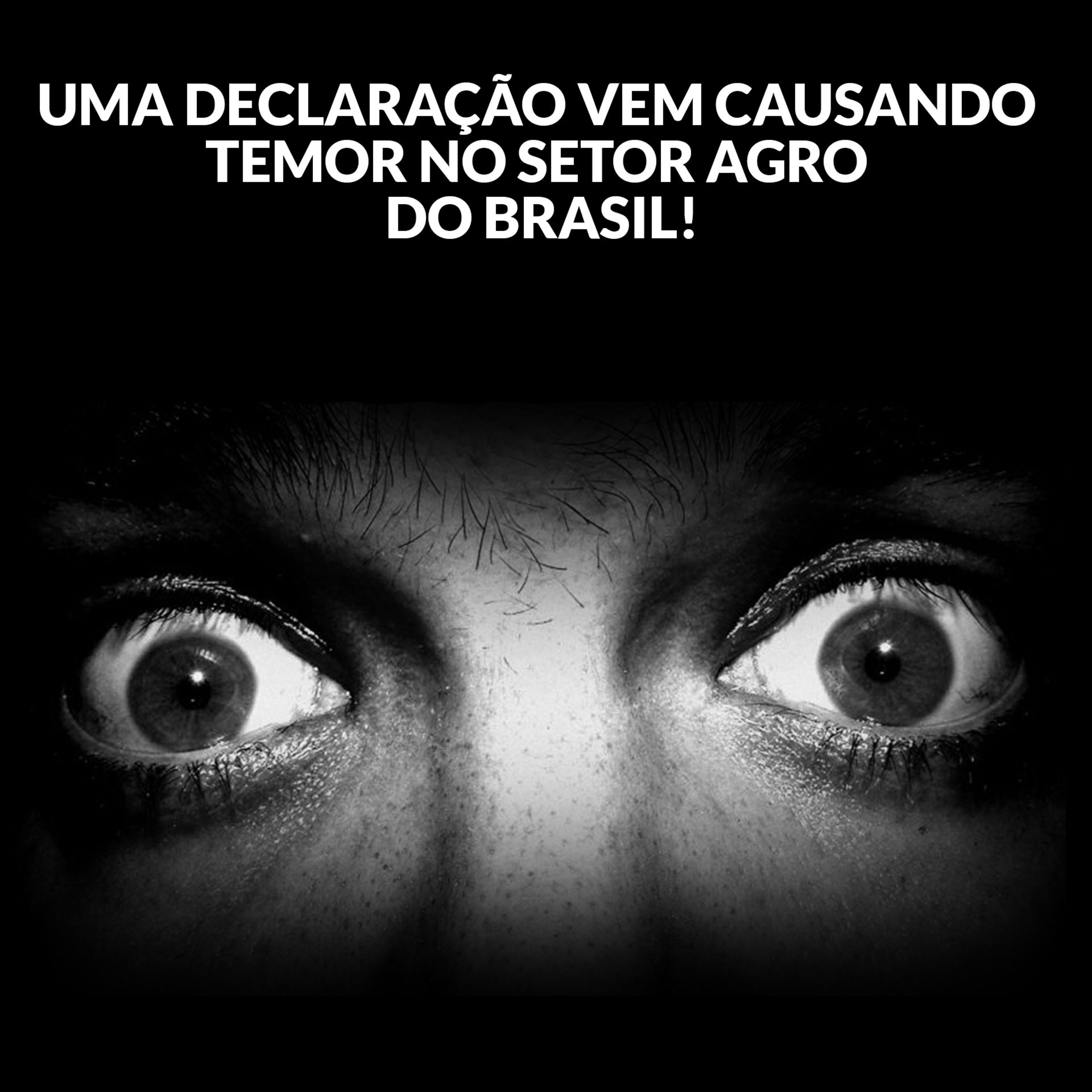 UMA DECLARAÇÃO VEM CAUSANDO TEMOR NO SETOR AGRO DO BRASIL! episode artwork
