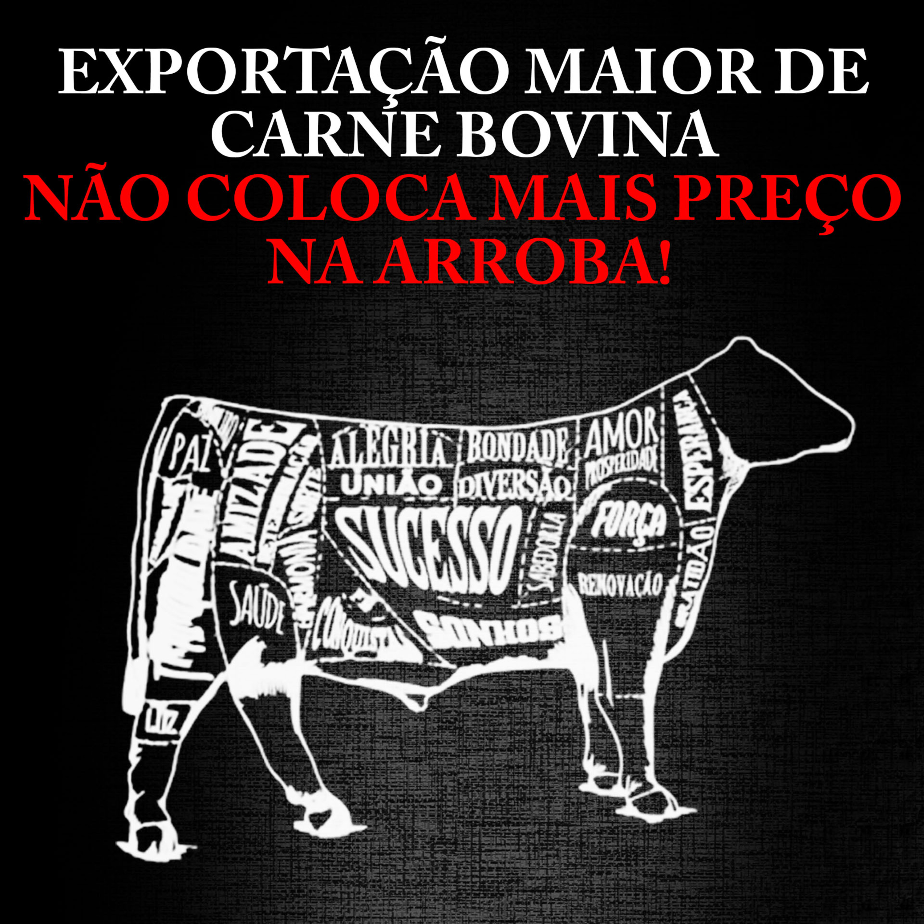 EXPORTAÇÃO MAIOR DE CARNE BOVINA NÃO COLOCA MAIS PREÇO NA ARROBA! episode artwork