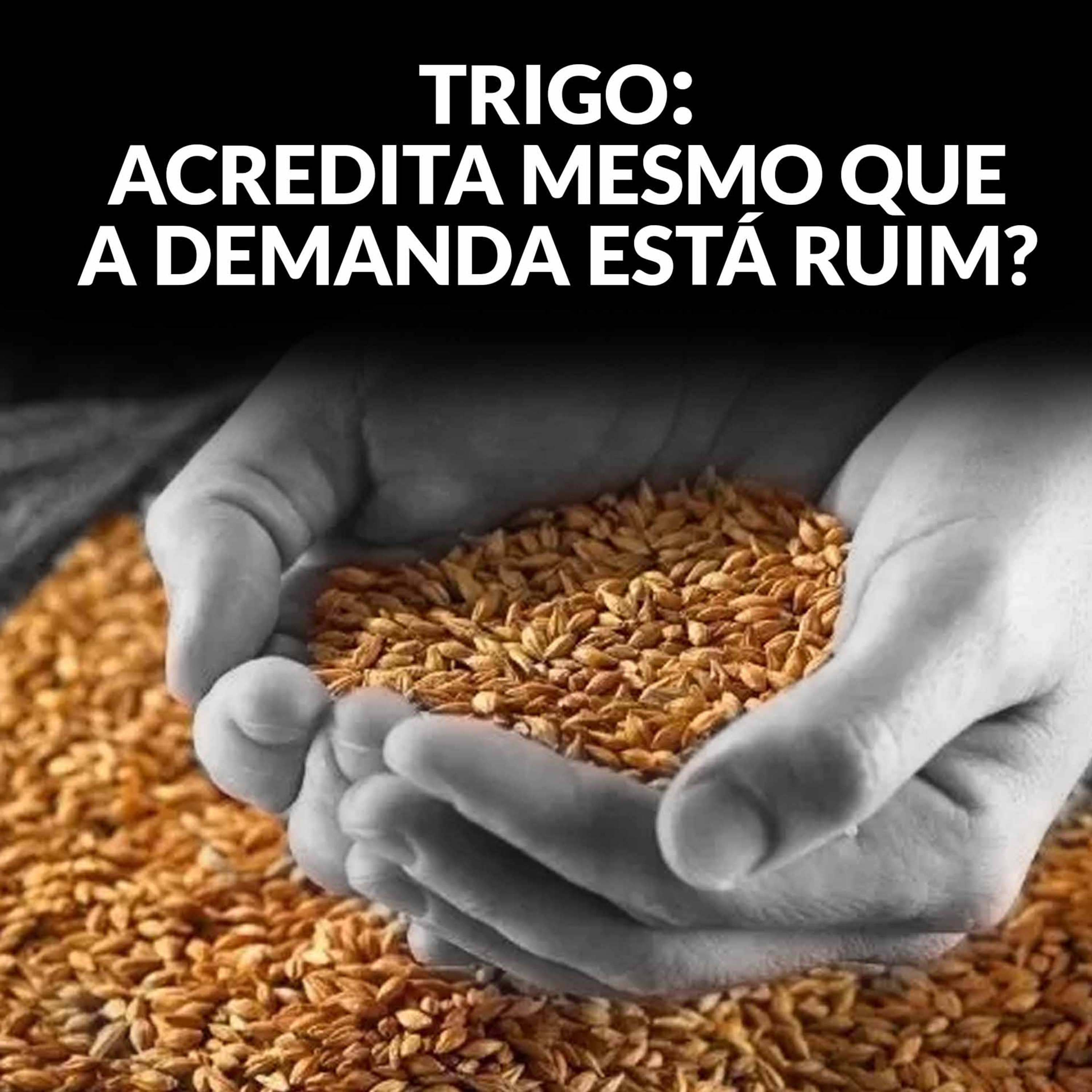 TRIGO: ACREDITA MESMO QUE A DEMANDA ESTÁ RUIM?