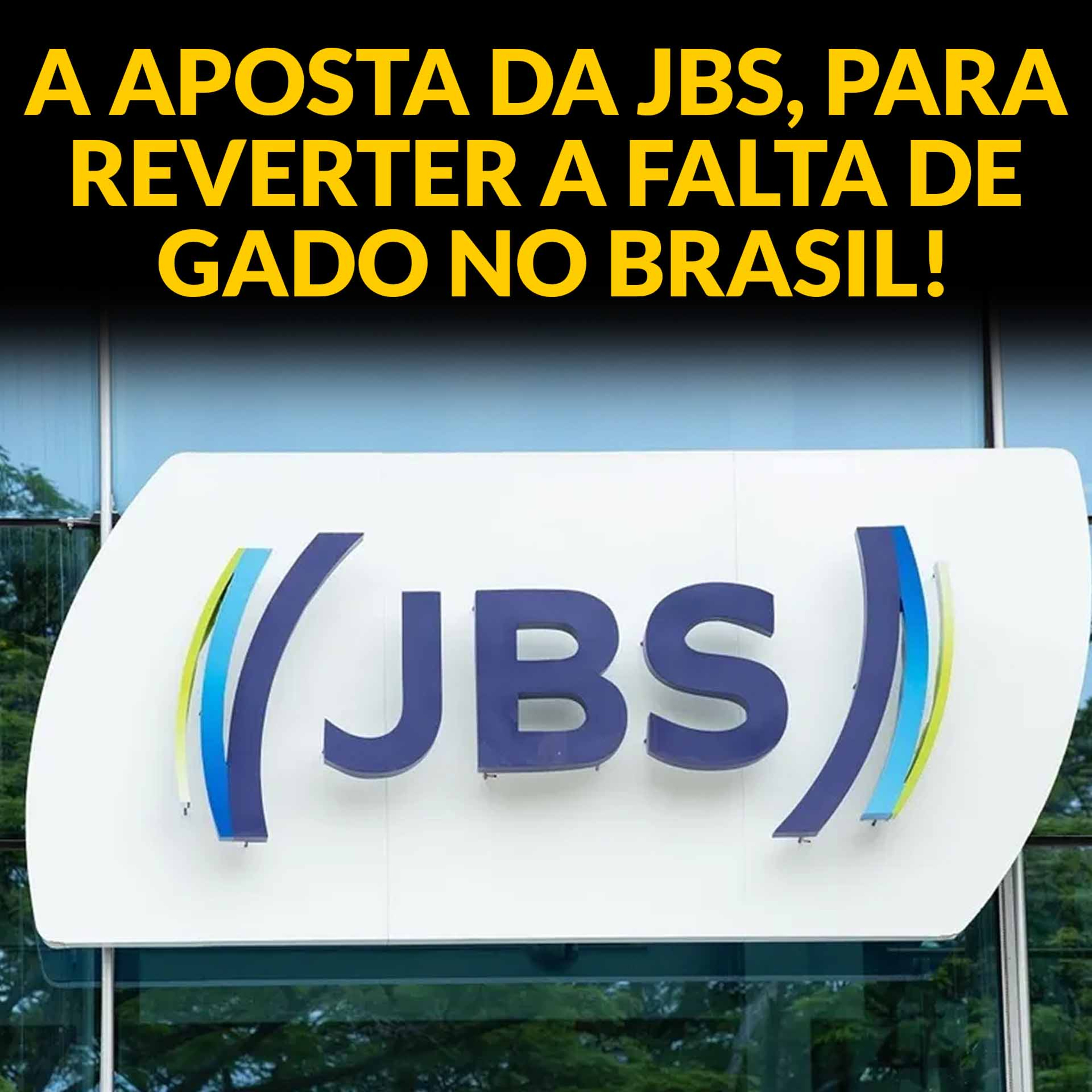 A APOSTA DA JBS, PARA REVERTER A FALTA DE GADO NO BRASIL! episode artwork