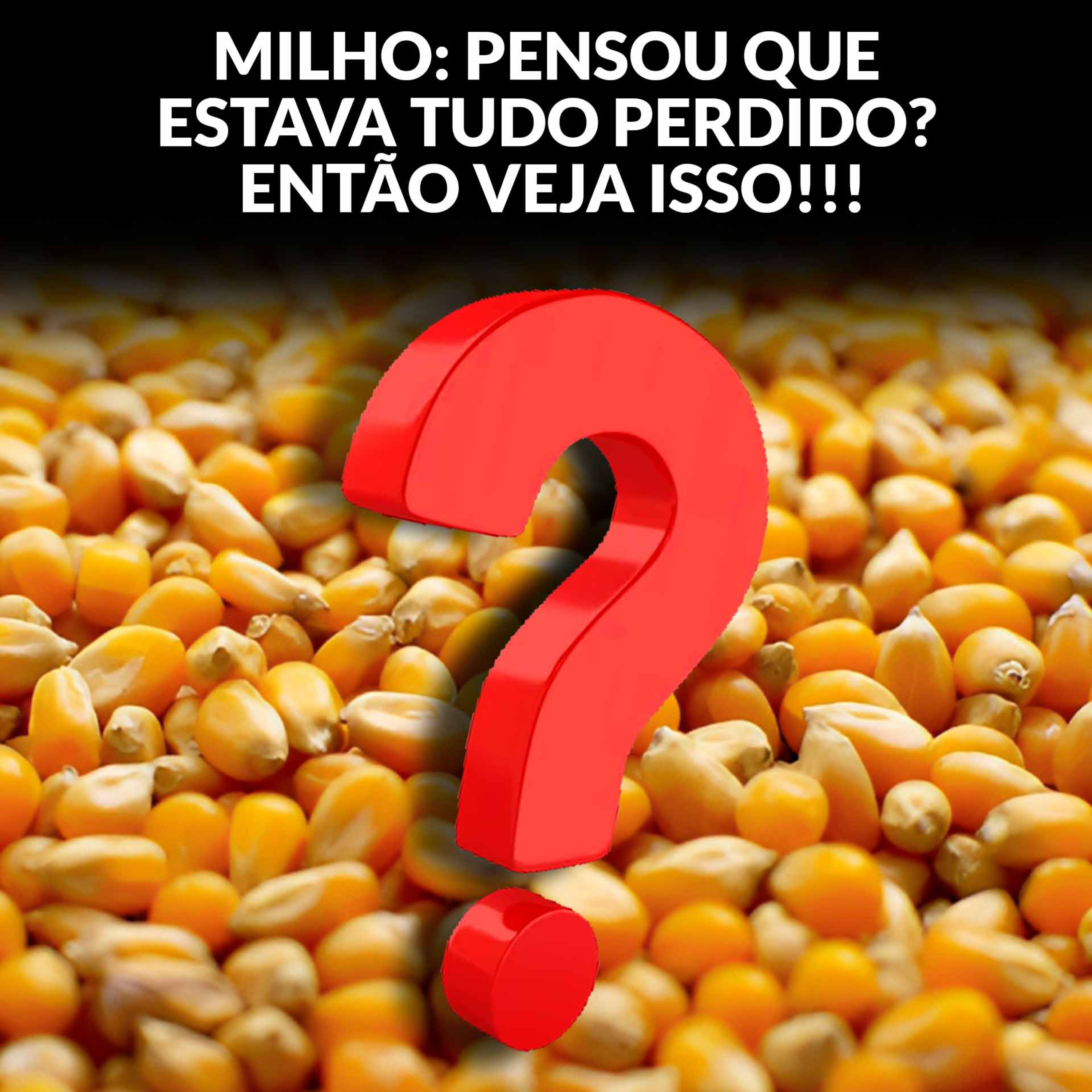 MILHO: PENSOU QUE ESTAVA TUDO PERDIDO? ENTÃO VEJA ISSO!!! episode artwork