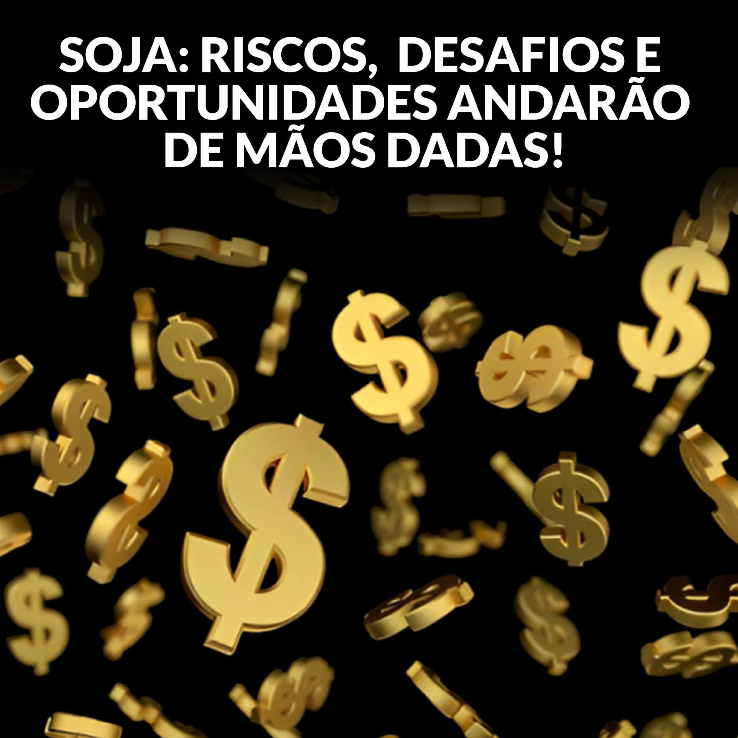 SOJA: RISCOS, DESAFIOS E OPORTUNIDADES ANDARÃO DE MÃOS DADAS! episode artwork