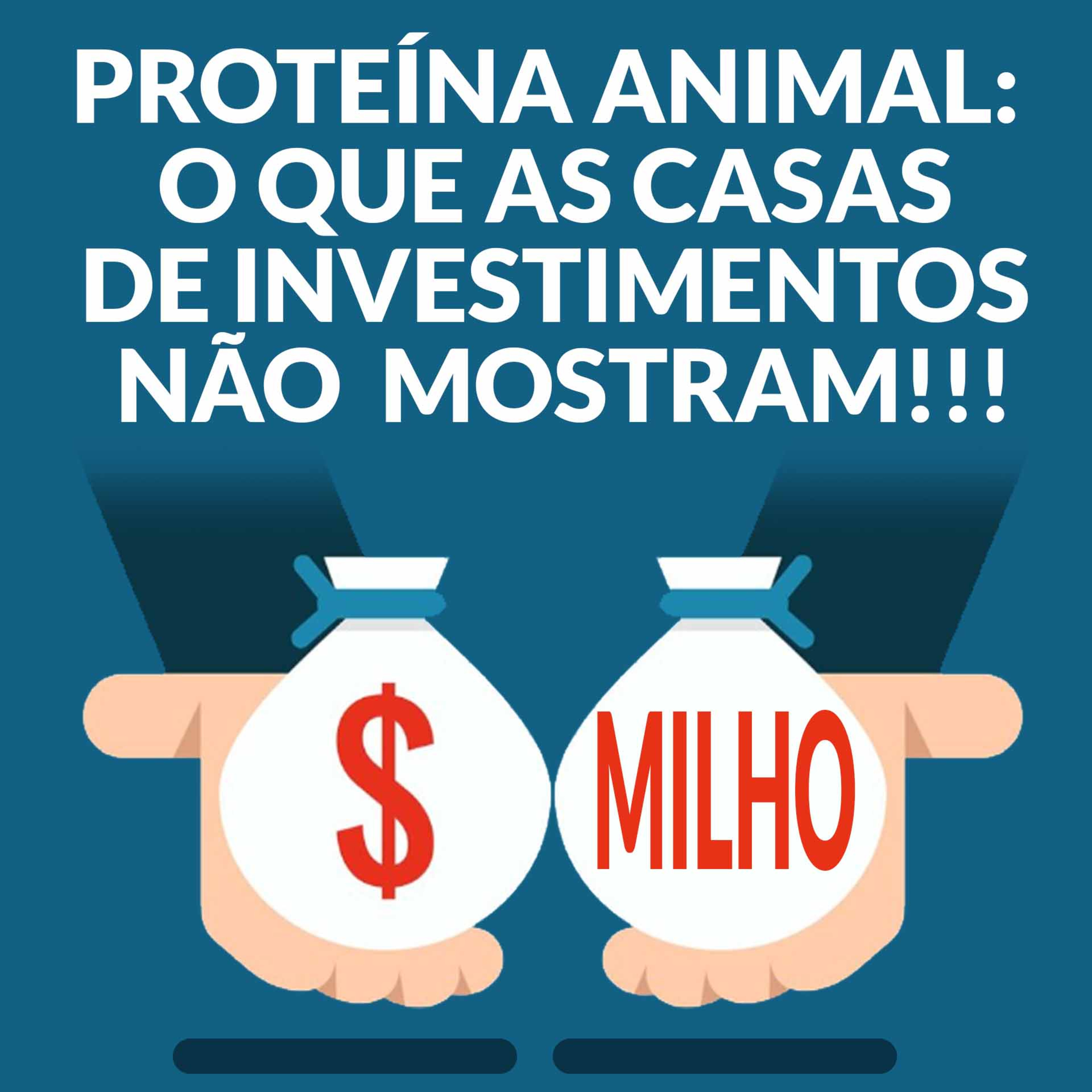 PROTEÍNA ANIMAL: O QUE AS CASAS DE INVESTIMENTOS NÃO MOSTRAM!!!