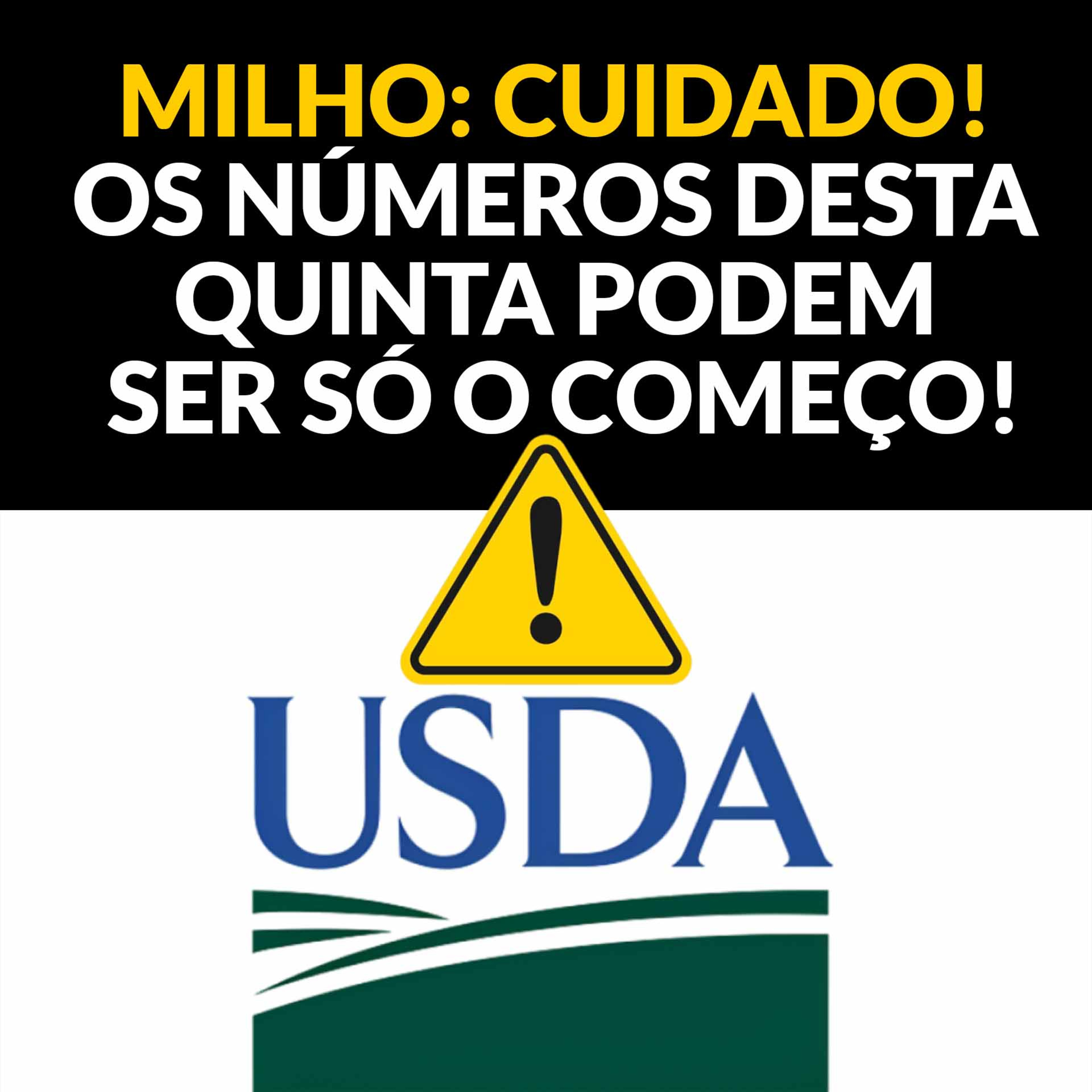 MILHO: CUIDADO! OS NÚMEROS DESTA QUINTA PODEM SER SÓ O COMEÇO!  episode artwork