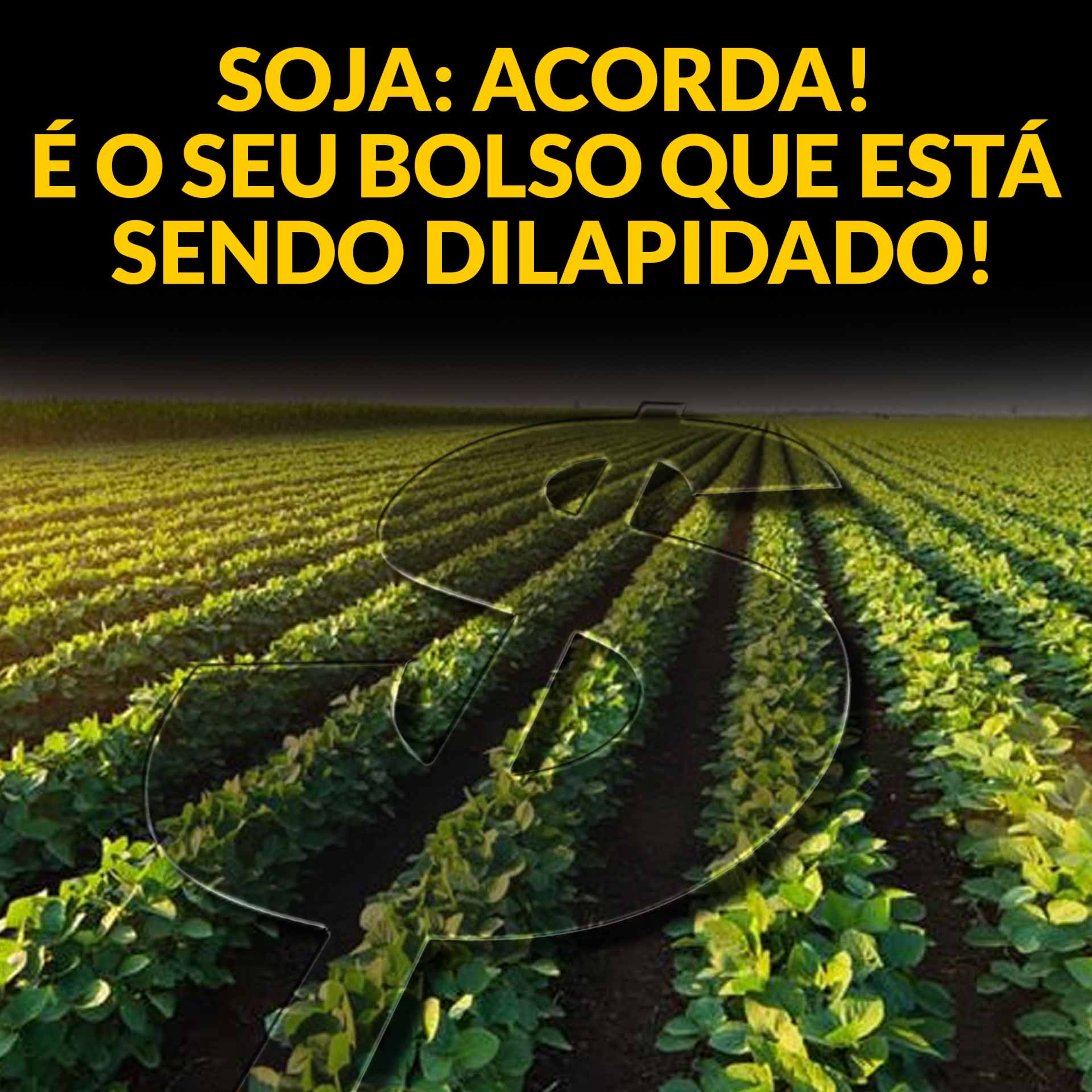 SOJA: ACORDA! É O SEU BOLSO QUE ESTÁ SENDO DILAPIDADO! episode artwork