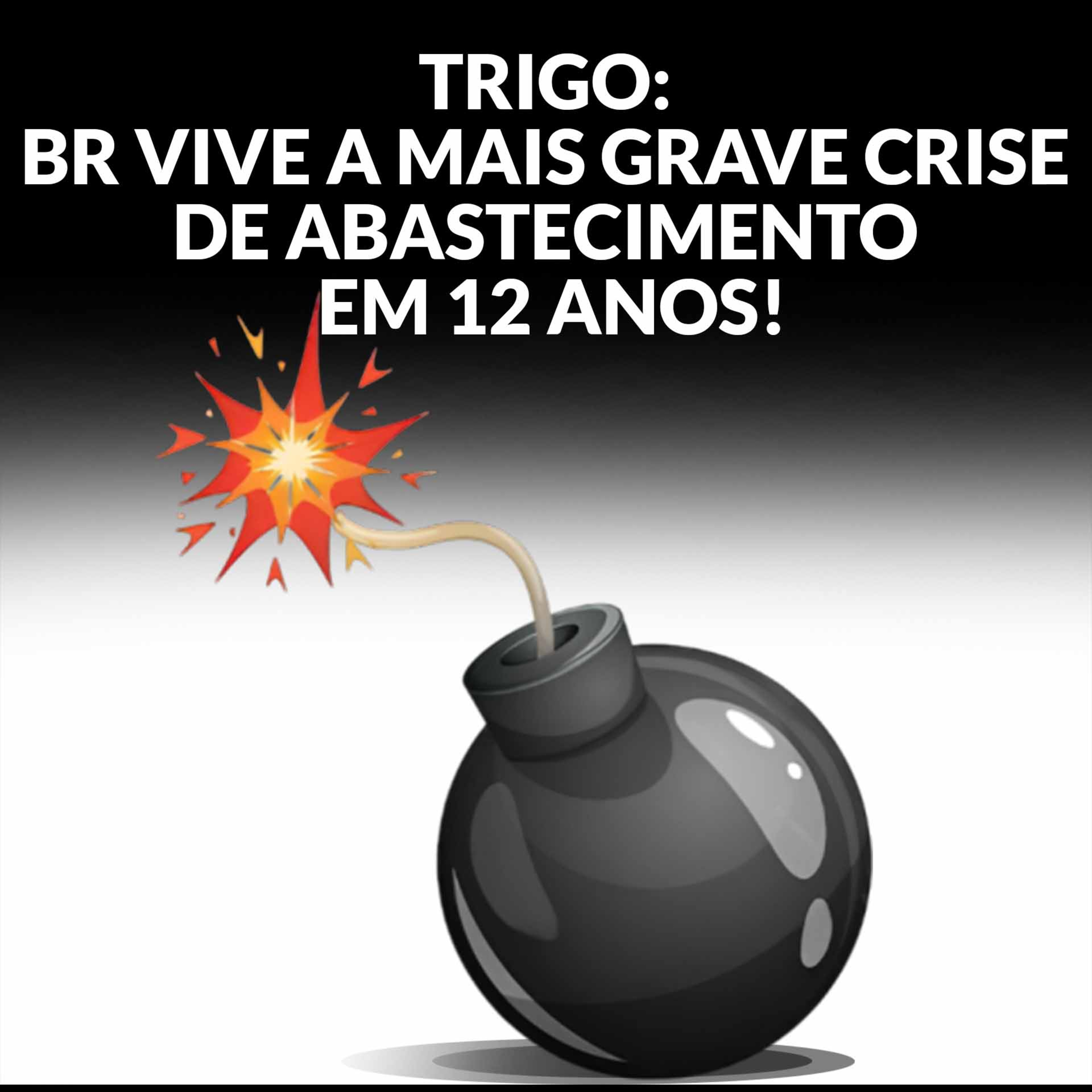 TRIGO: BR VIVE A MAIS GRAVE CRISE DE ABASTECIMENTO EM 12 ANOS!
