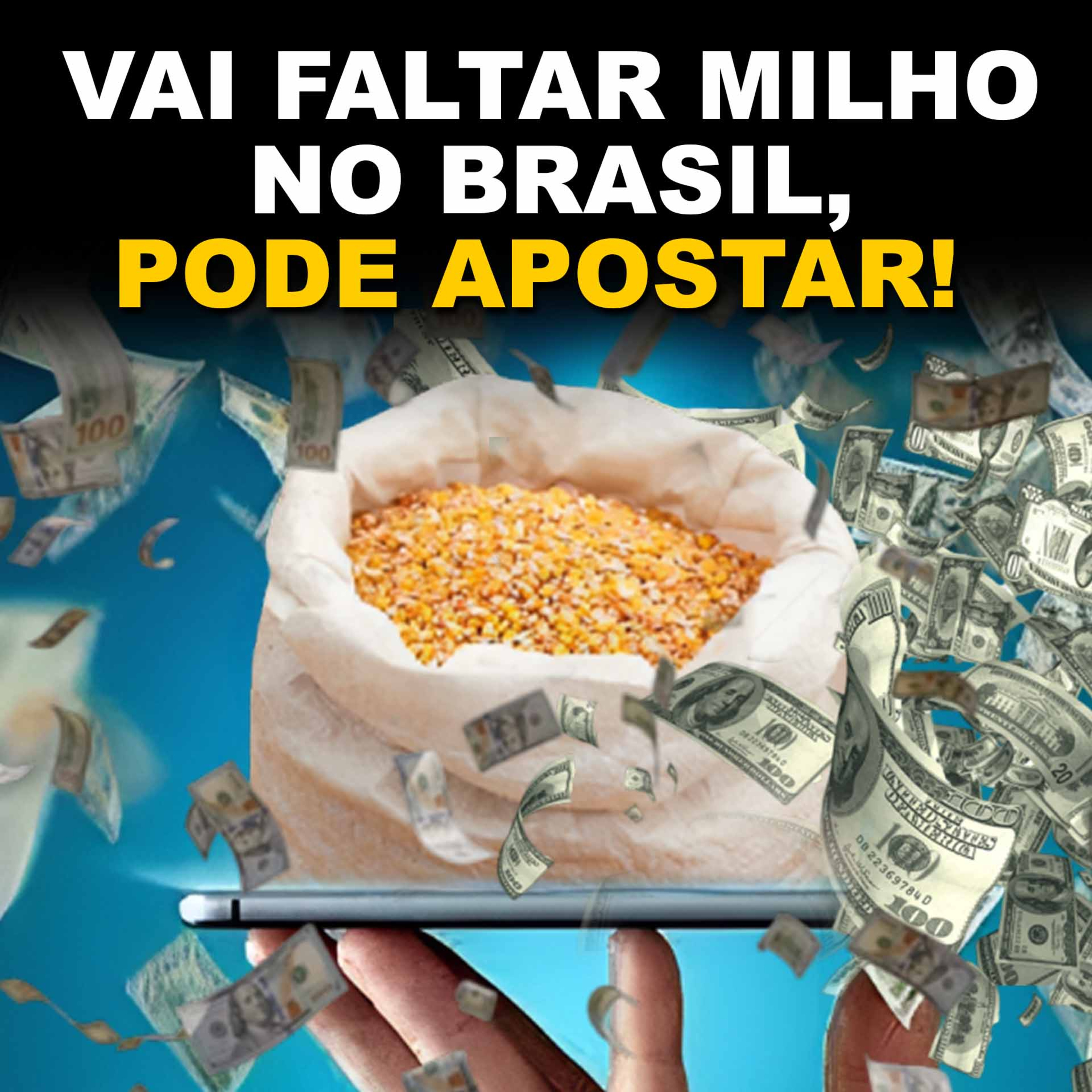 VAI FALTAR MILHO NO BRASIL, PODE APOSTAR! episode artwork