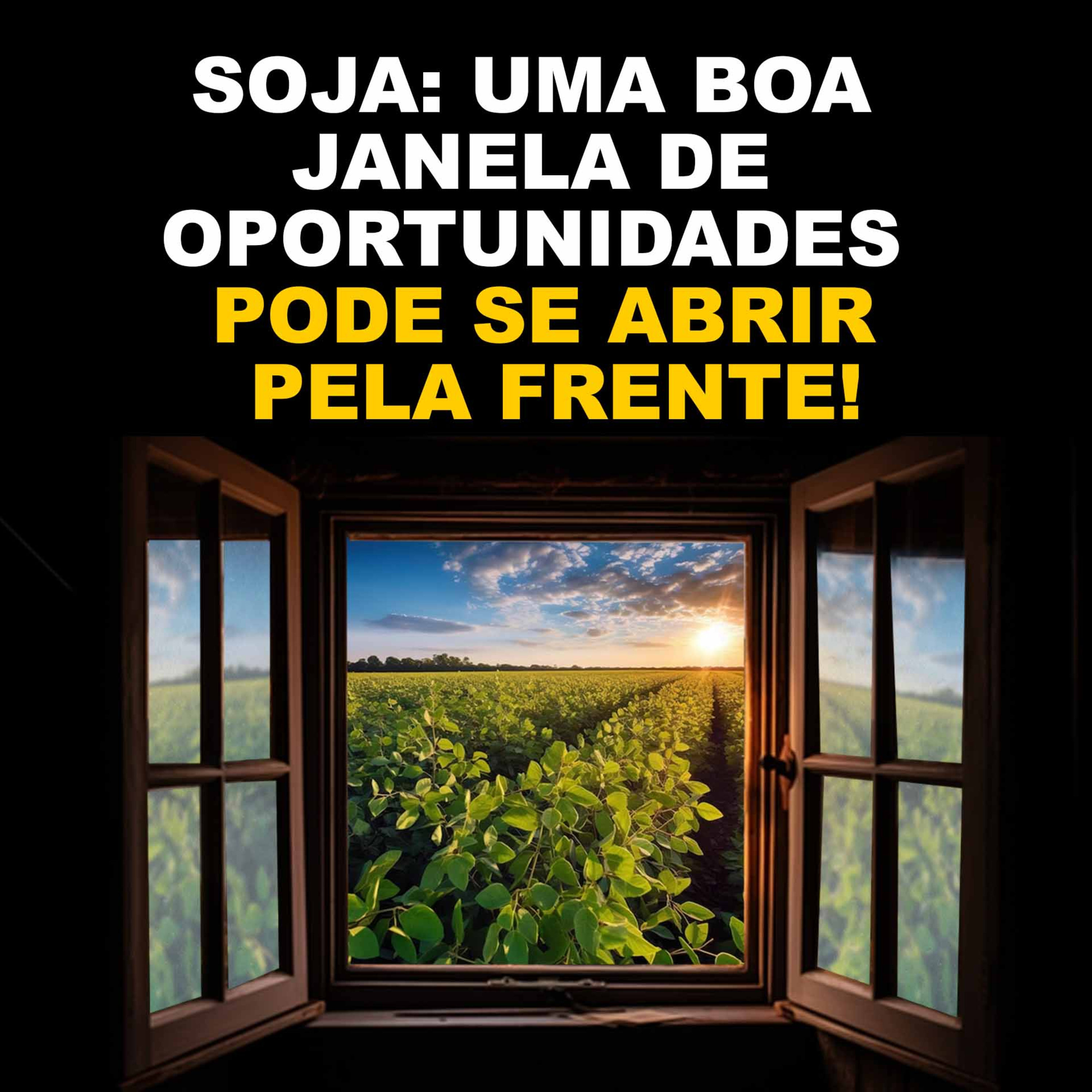 SOJA: UMA BOA JANELA DE OPORTUNIDADES PODE SE ABRIR PELA FRENTE! episode artwork