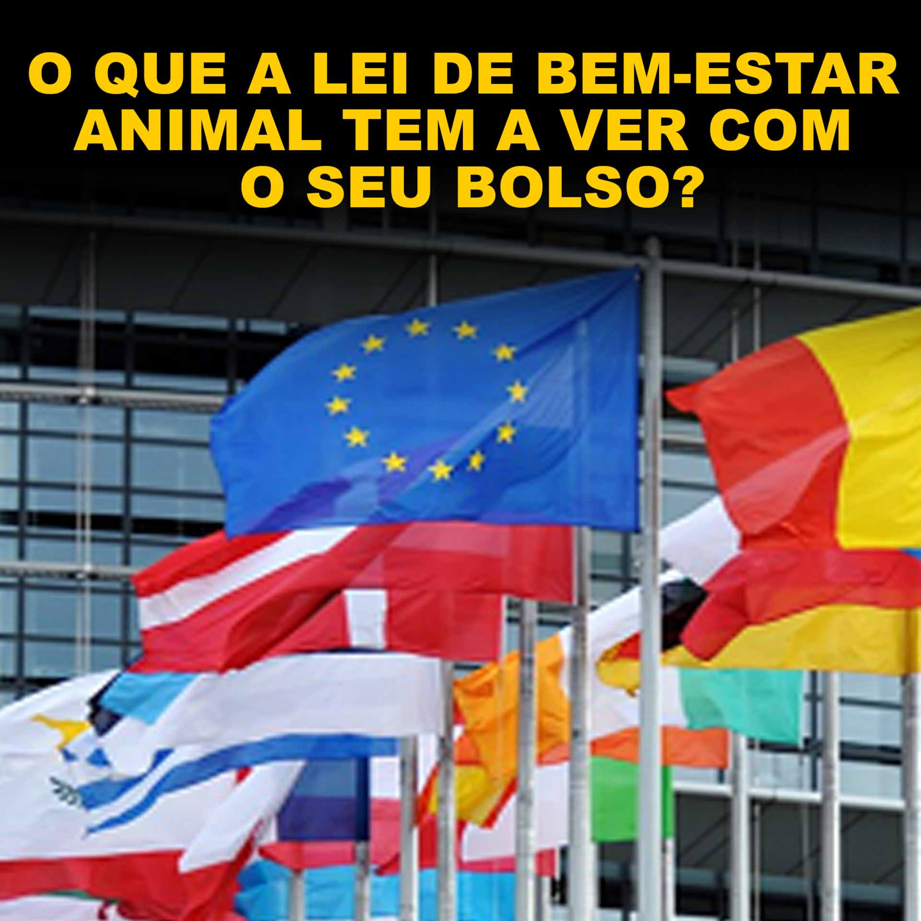 O QUE A LEI DE BEM-ESTAR ANIMAL TEM A VER COM O SEU BOLSO? episode artwork