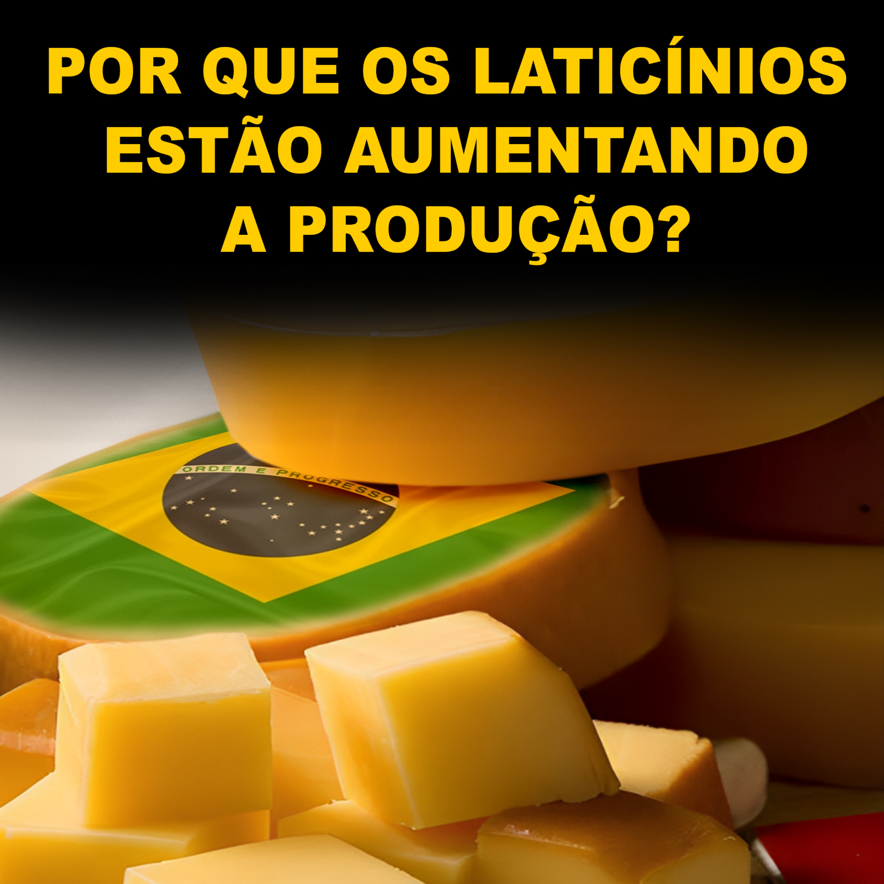 POR QUE OS LATICÍNIOS ESTÃO AUMENTANDO A PRODUÇÃO?