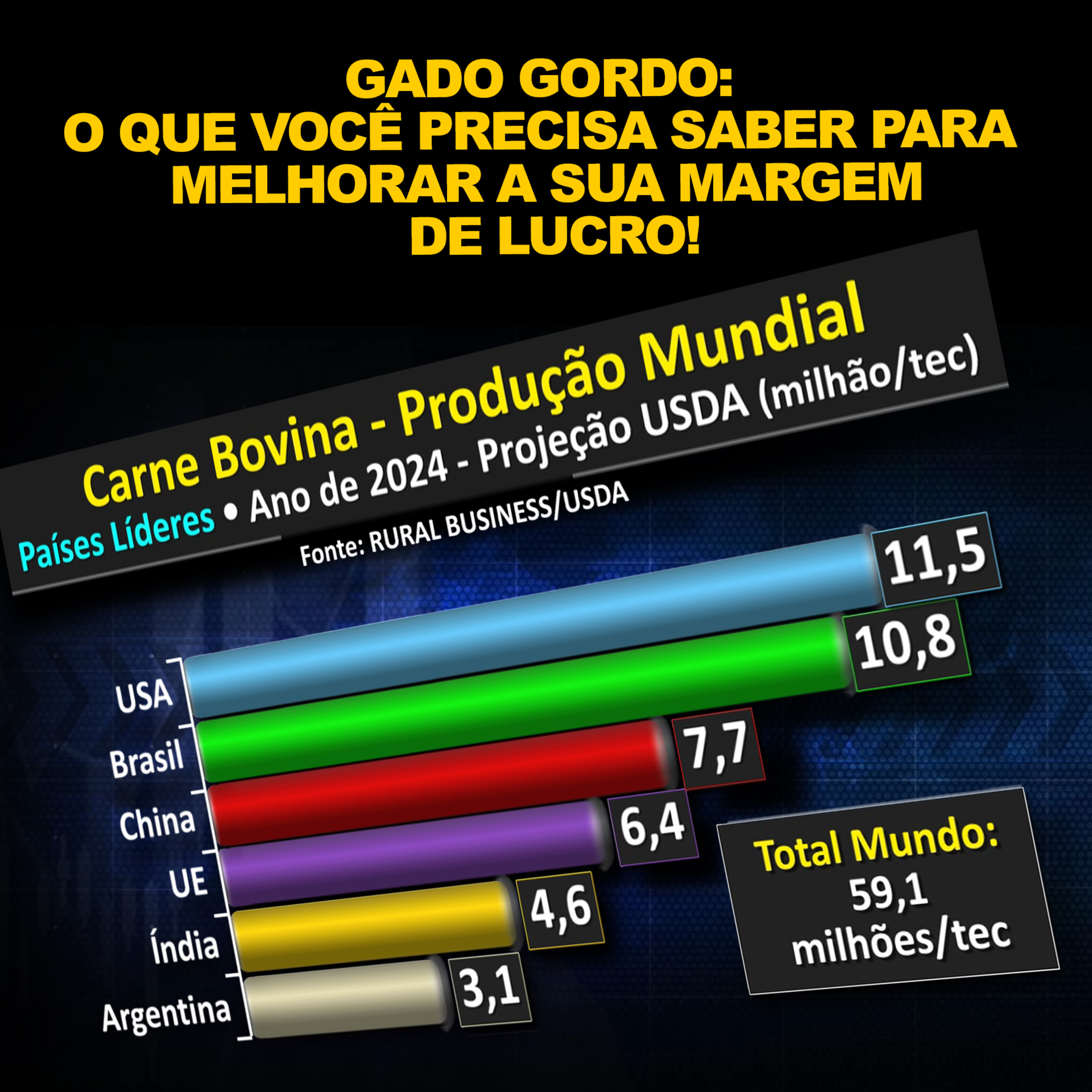 GADO GORDO: O QUE VOCÊ PRECISA SABER PARA MELHORAR A SUA MARGEM DE LUCRO! episode artwork