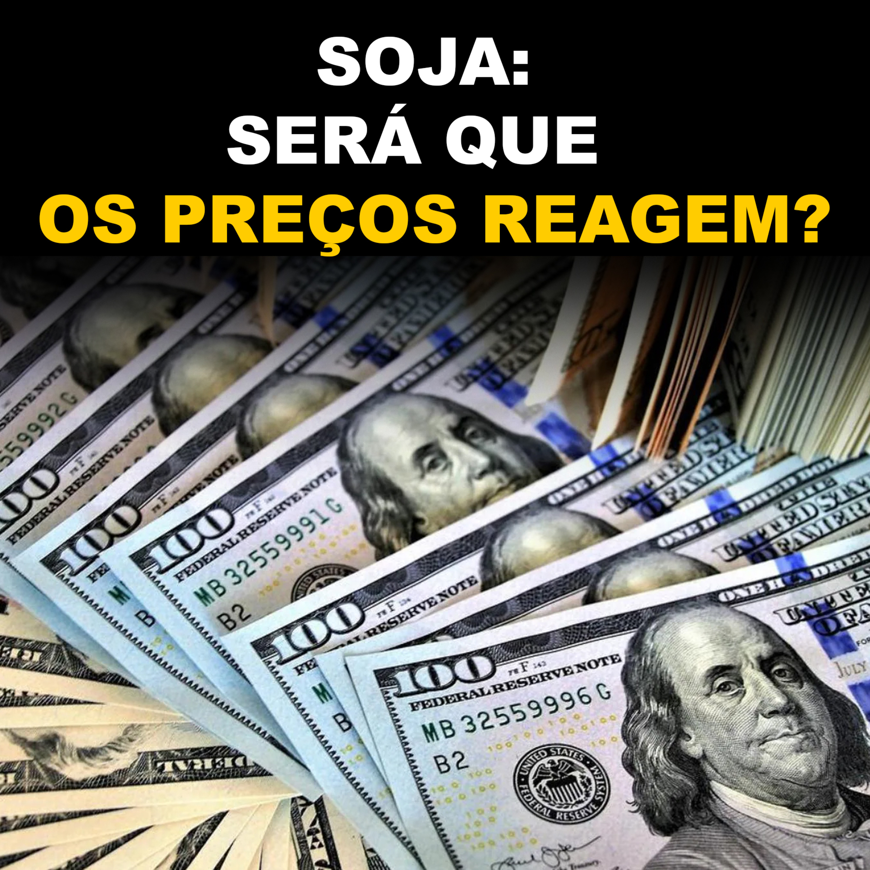 SOJA: SERÁ QUE OS PREÇOS REAGEM?