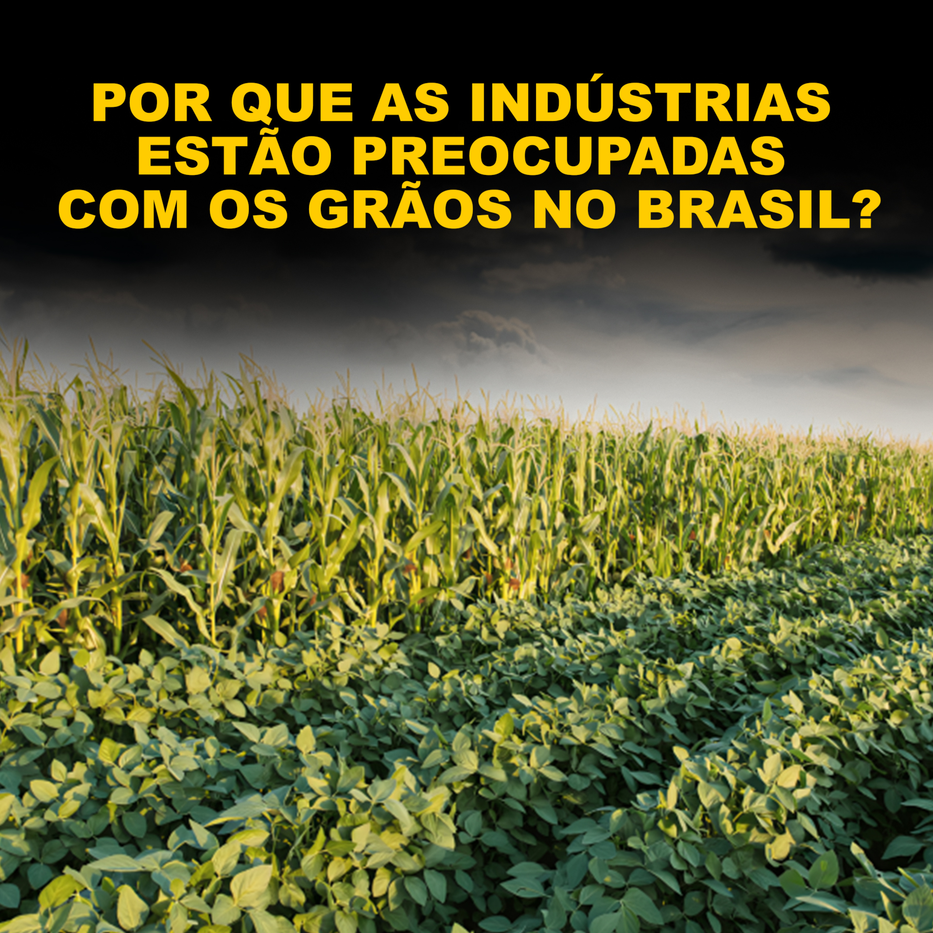 POR QUE AS INDÚSTRIAS ESTÃO PREOCUPADAS COM OS GRÃOS NO BRASIL? episode artwork