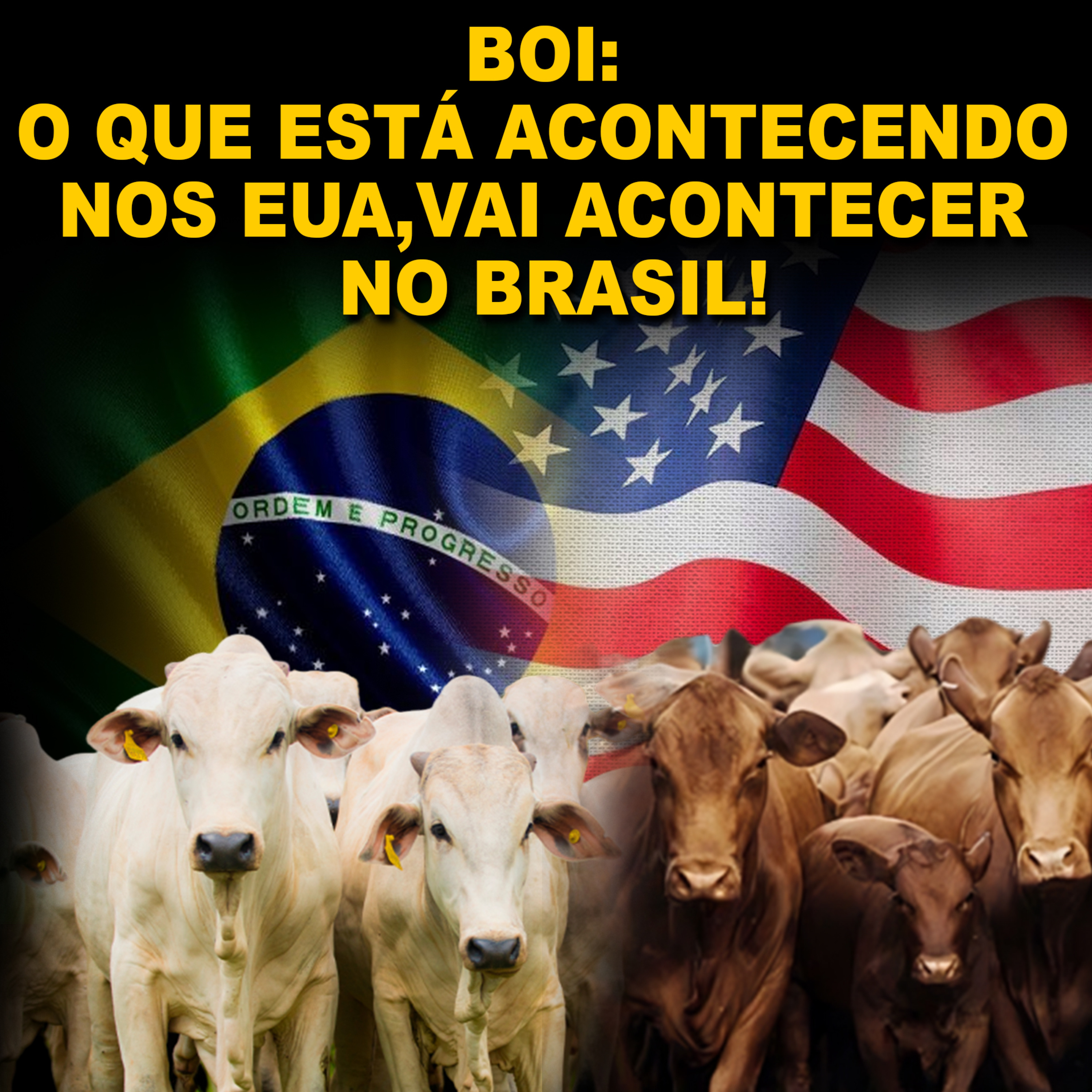BOI: O QUE ESTÁ ACONTECENDO NOS EUA, VAI ACONTECER NO BRASIL! episode artwork