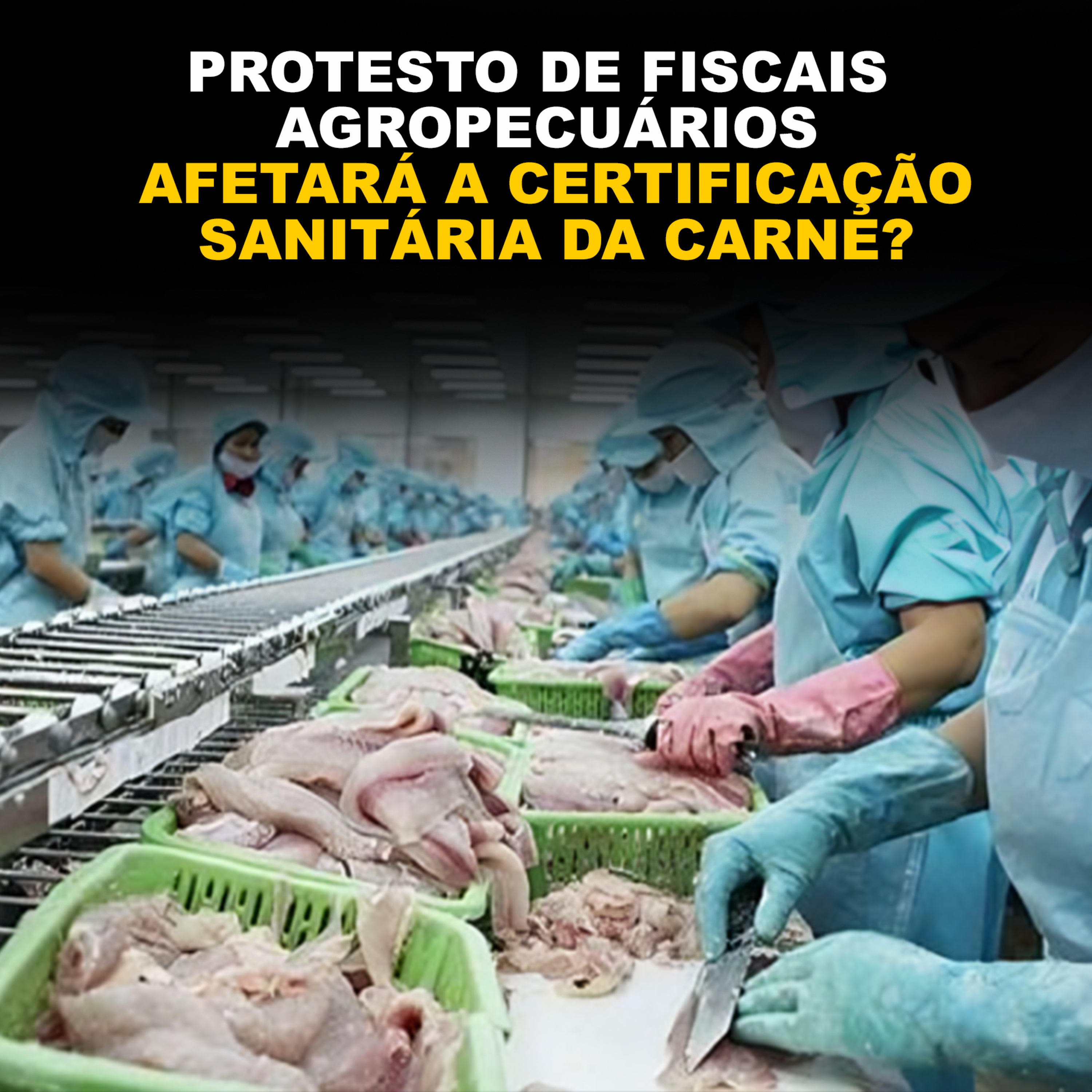 PROTESTO DE FISCAIS AGROPECUÁRIOS AFETARÁ A CERTIFICAÇÃO SANITÁRIA DA CARNE? episode artwork