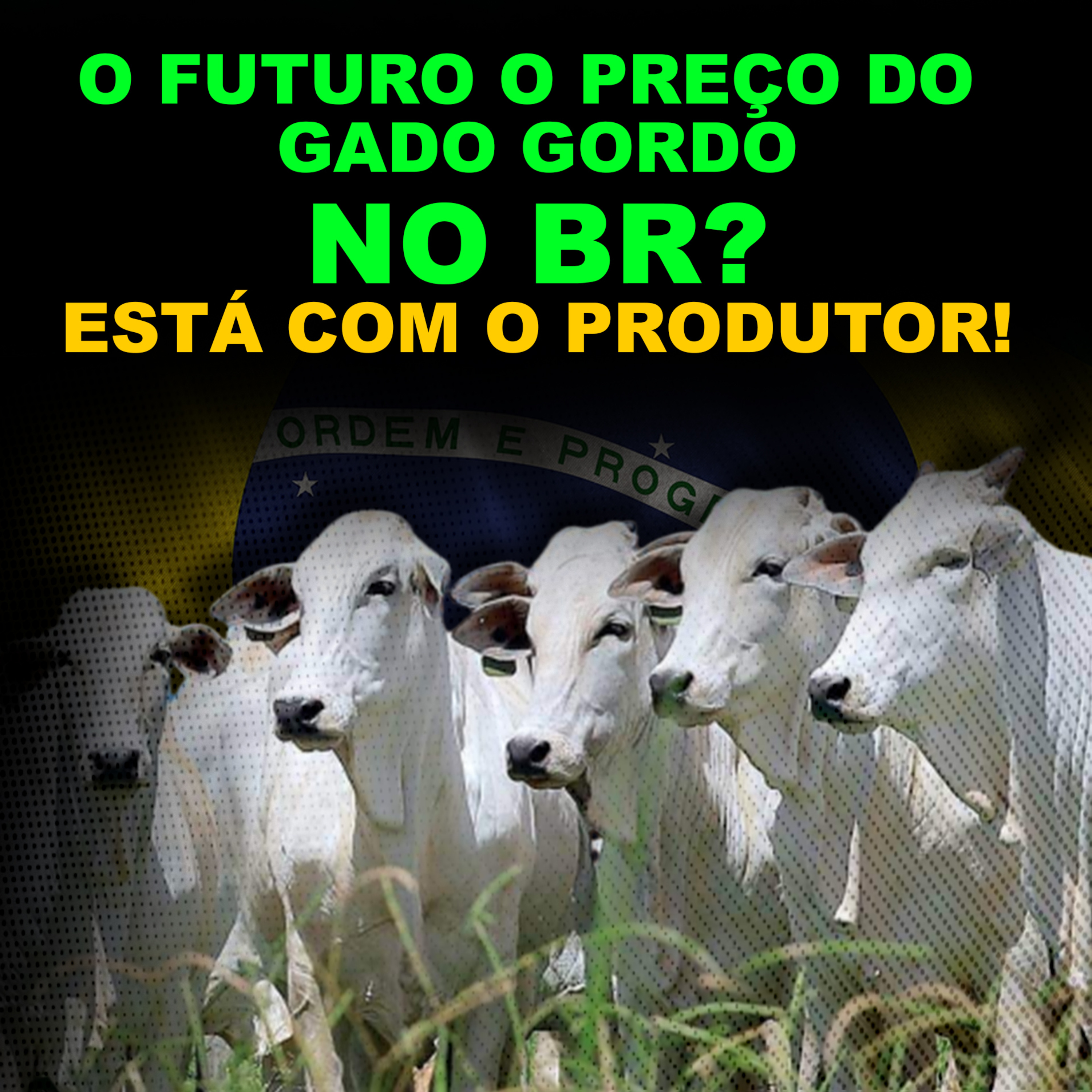 O FUTURO DO PREÇO DO GADO GORDO NO BR? ESTÁ COM O PRODUTOR!