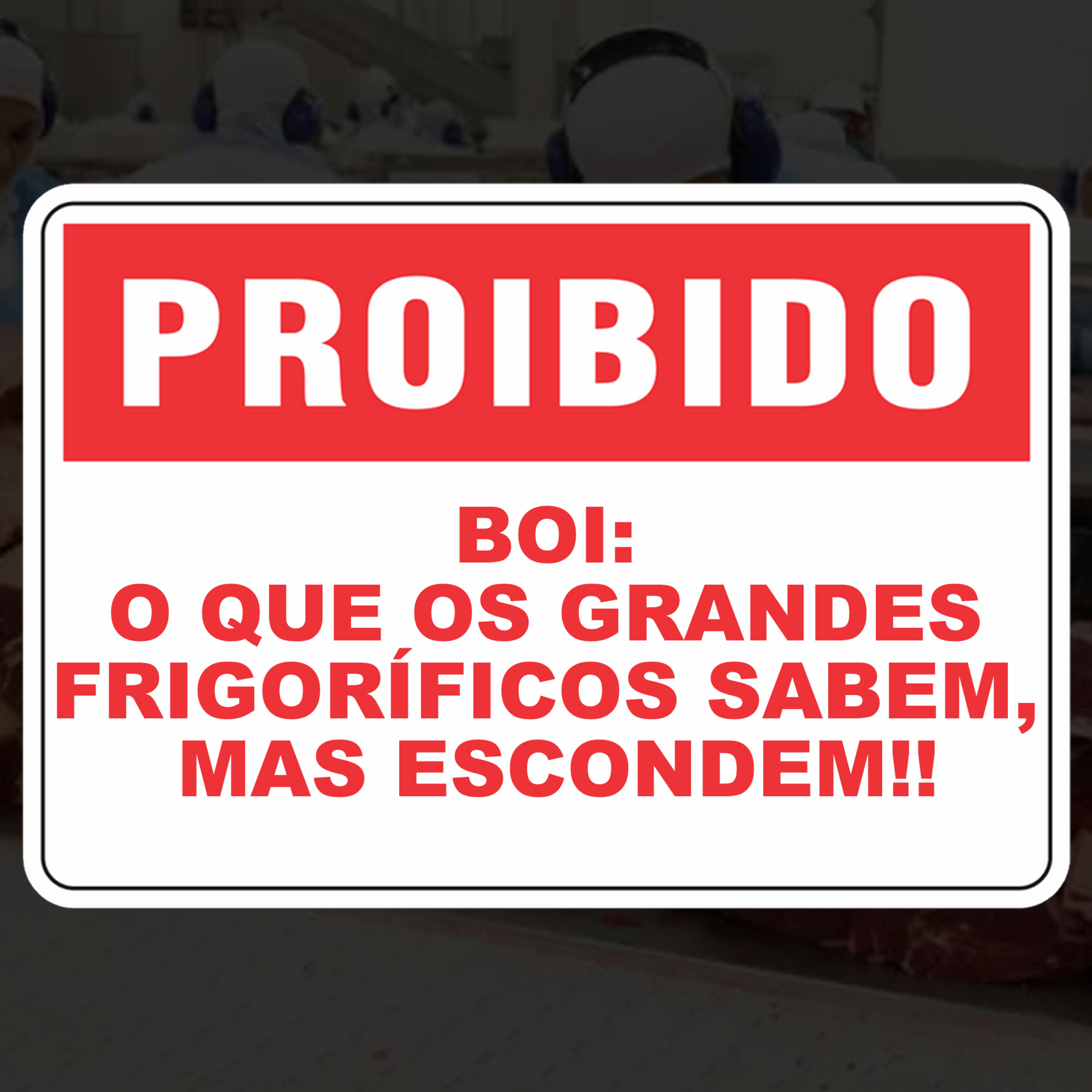 BOI: O QUE OS GRANDES FRIGORÍFICOS SABEM, MAS ESCONDEM!! episode artwork