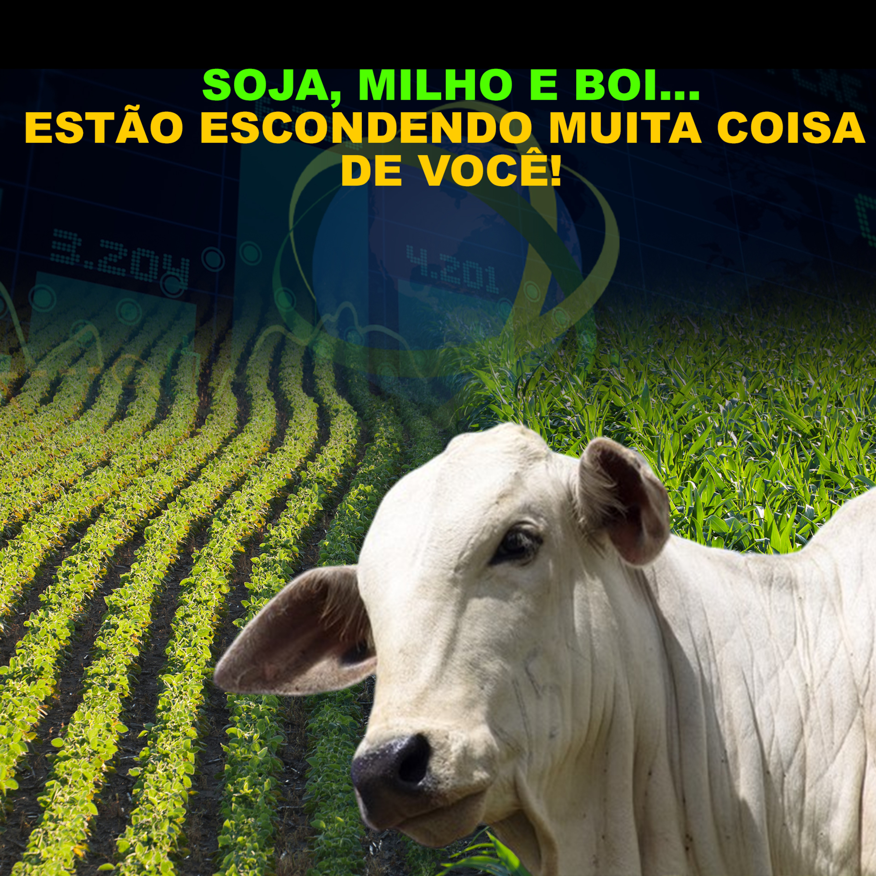 SOJA, MILHO E BOI... ESTÃO ESCONDENDO MUITA COISA DE VOCÊ! episode artwork