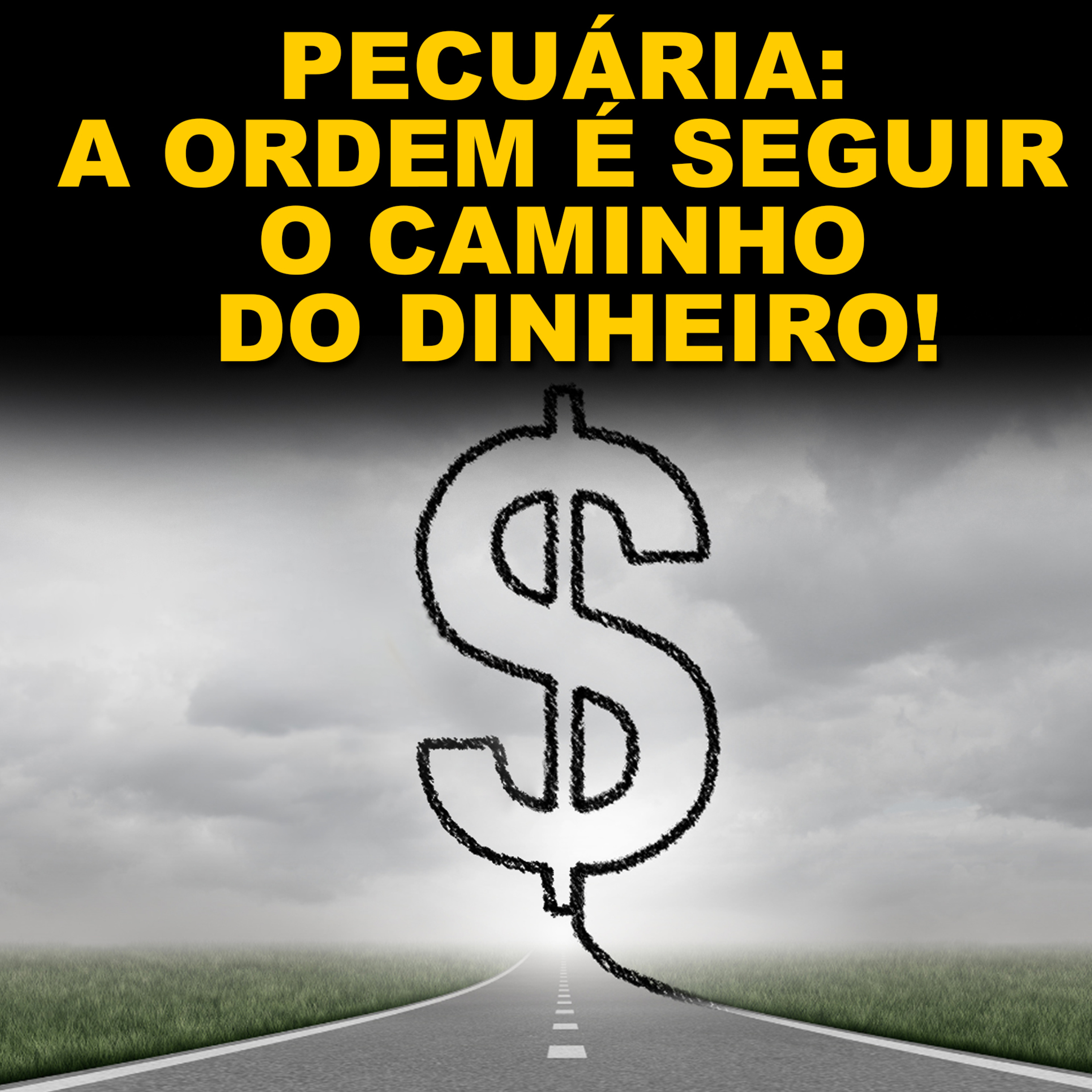 PECUÁRIA: A ORDEM É SEGUIR O CAMINHO DO DINHEIRO! episode artwork