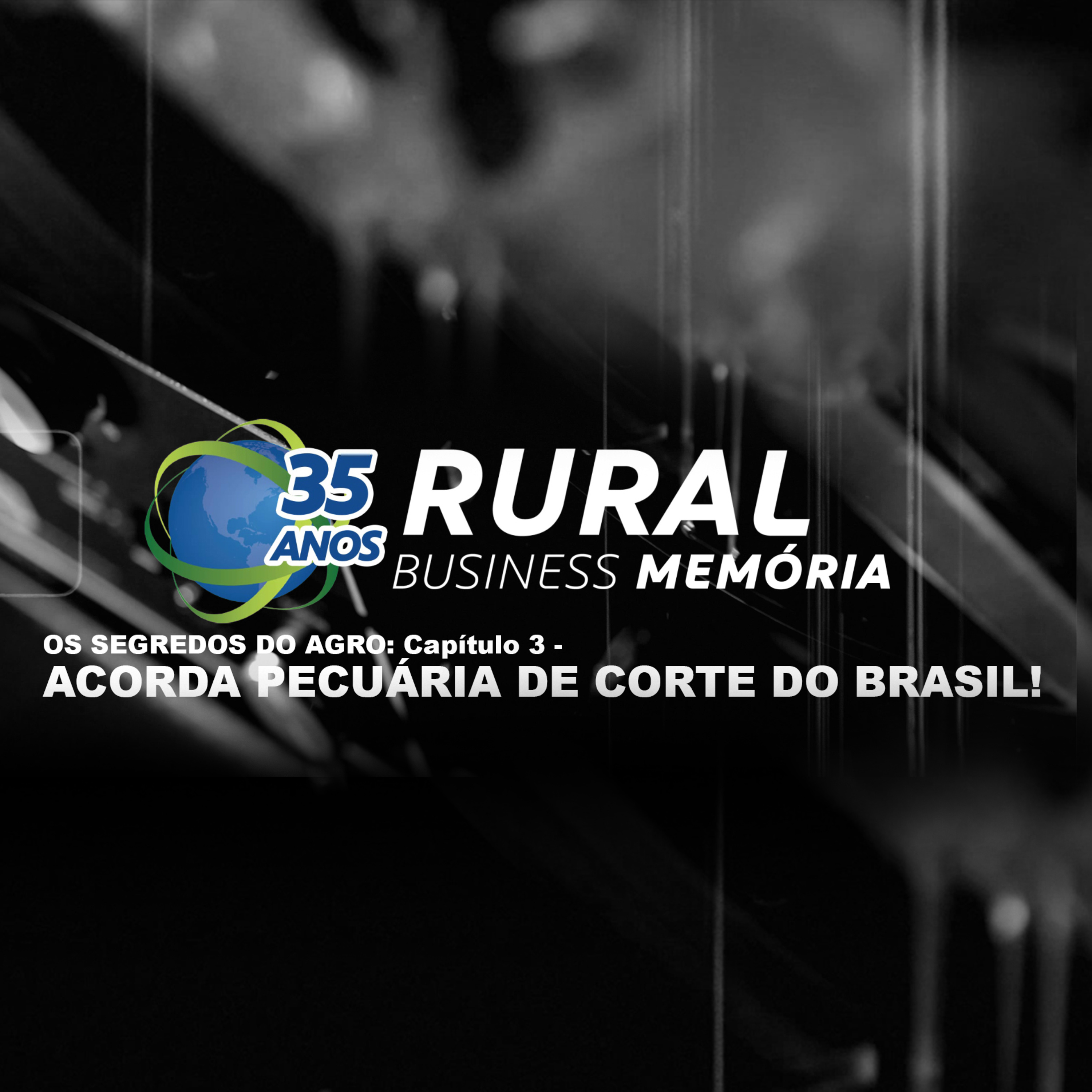 RURAL BUSINESS MEMORIA: OS SEGREDOS DO AGRO - CAPÍTULO 3 - ACORDA PECUÁRIA DE CORTE DO BRASIL! episode artwork