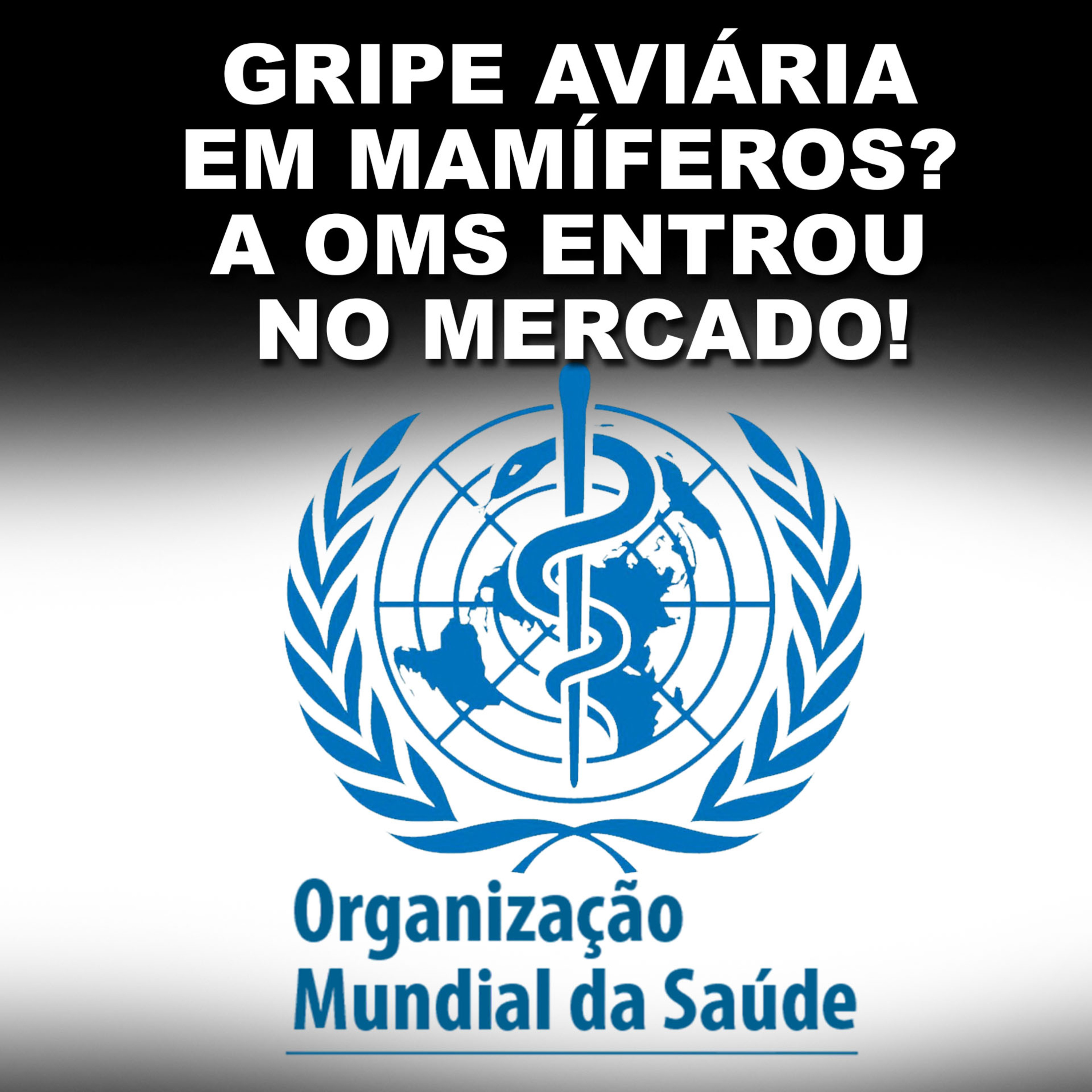 GRIPE AVIÁRIA EM MAMÍFEROS? A OMS ENTROU NO MERCADO! episode artwork