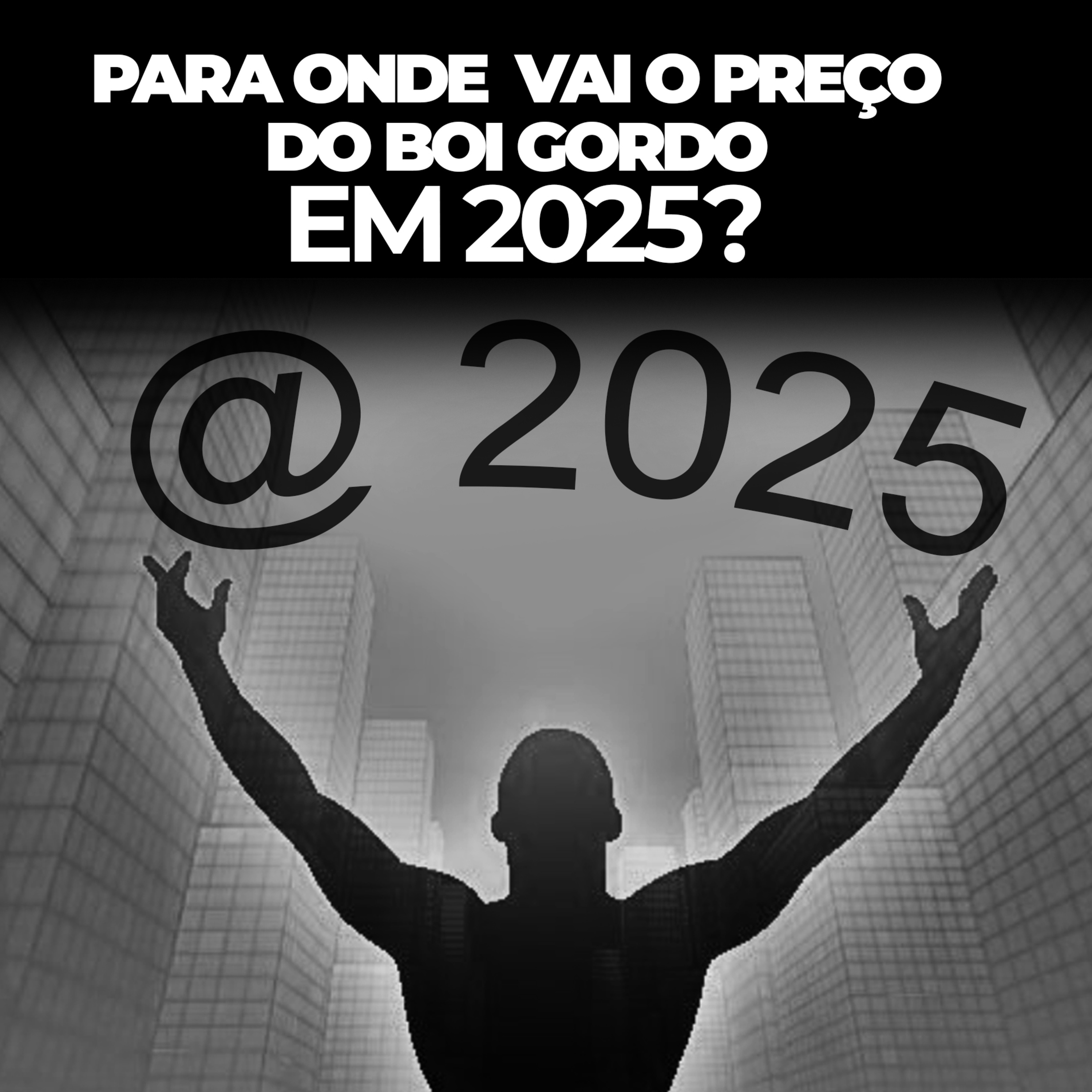 Mundo Rural Business