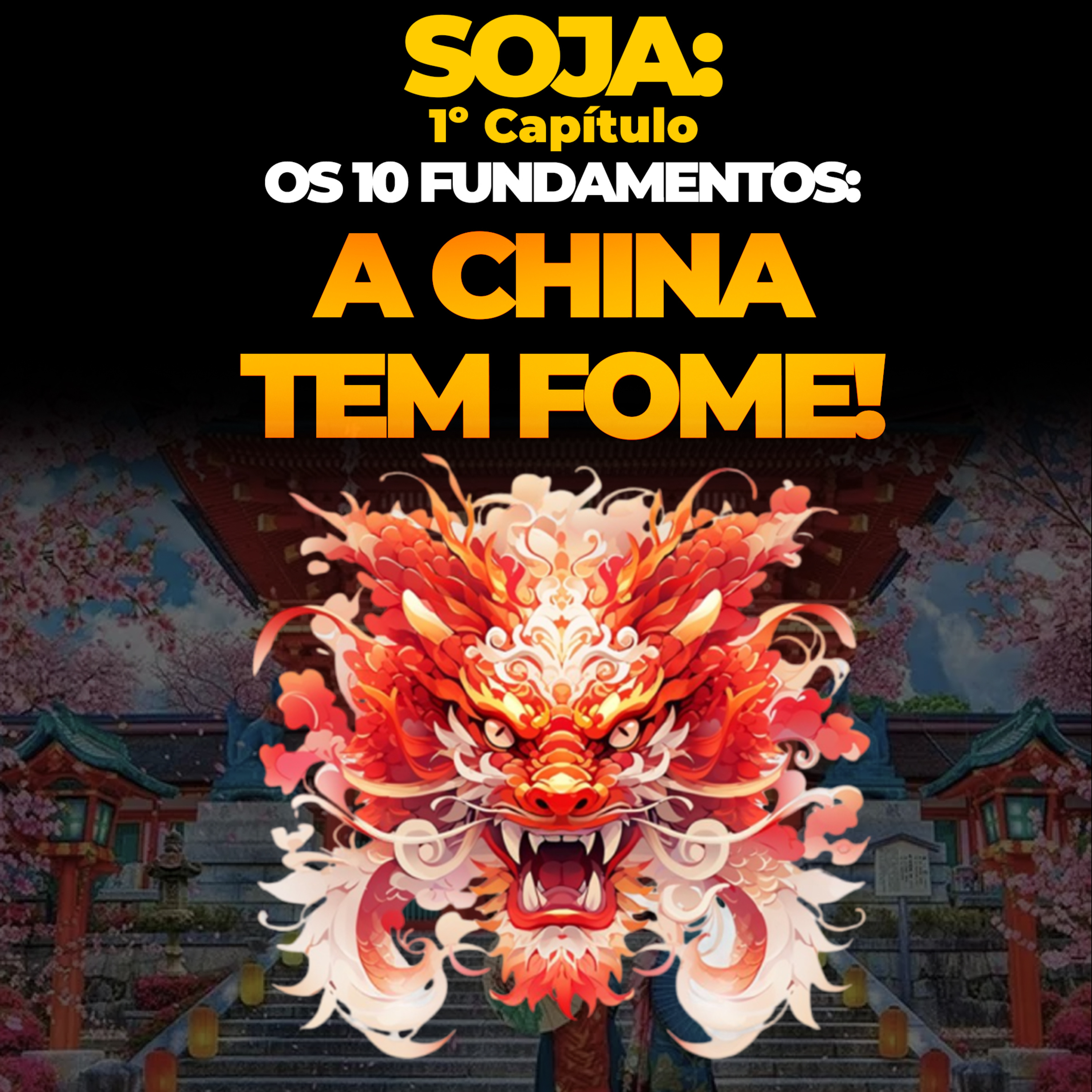 SOJA 1º CAPÍTULO - OS 10 FUNDAMENTOS: A CHINA TEM FOME! episode artwork