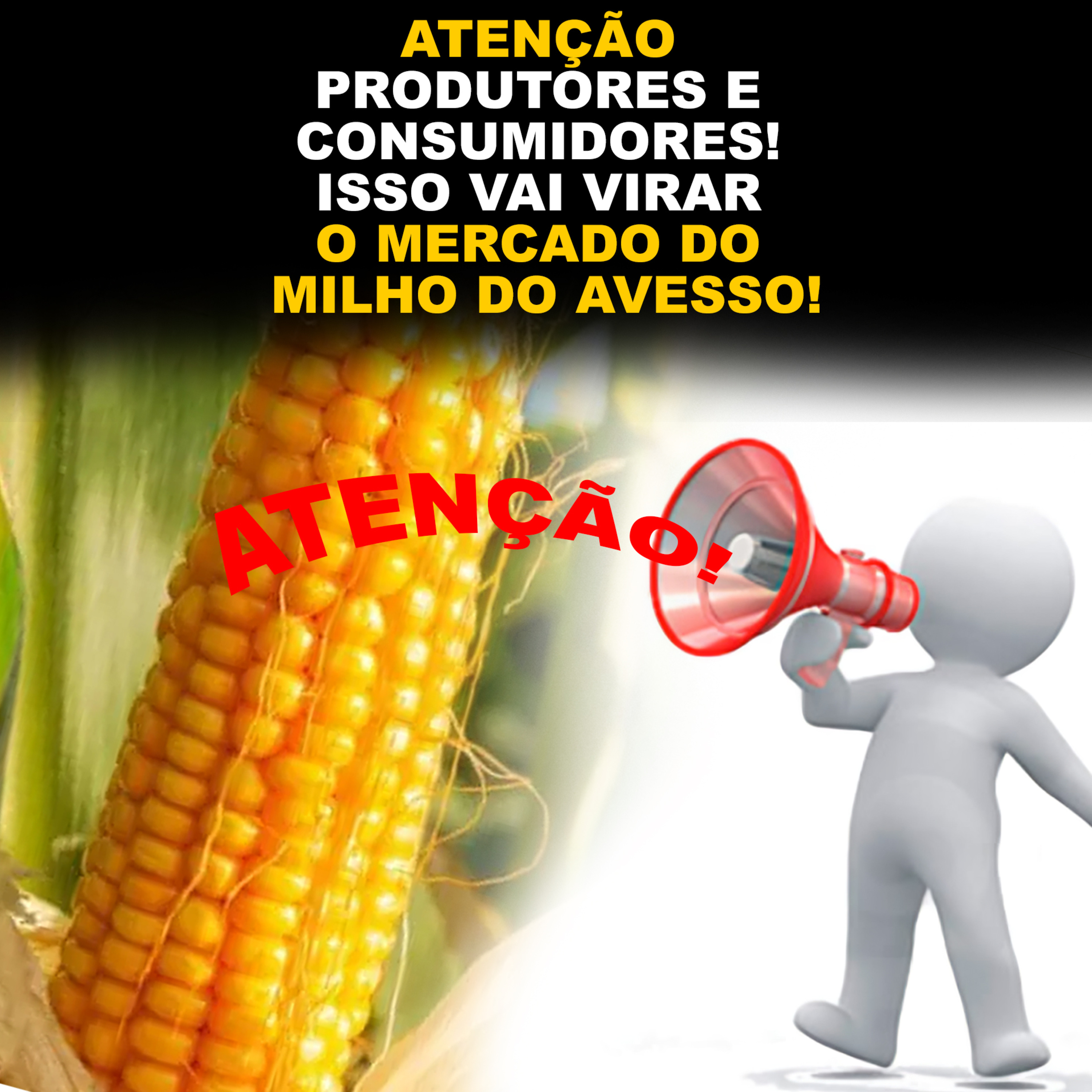 ATENÇÃO PRODUTORES E CONSUMIDORES! ISSO VAI VIRAR O MERCADO DO MILHO DO AVESSO! episode artwork