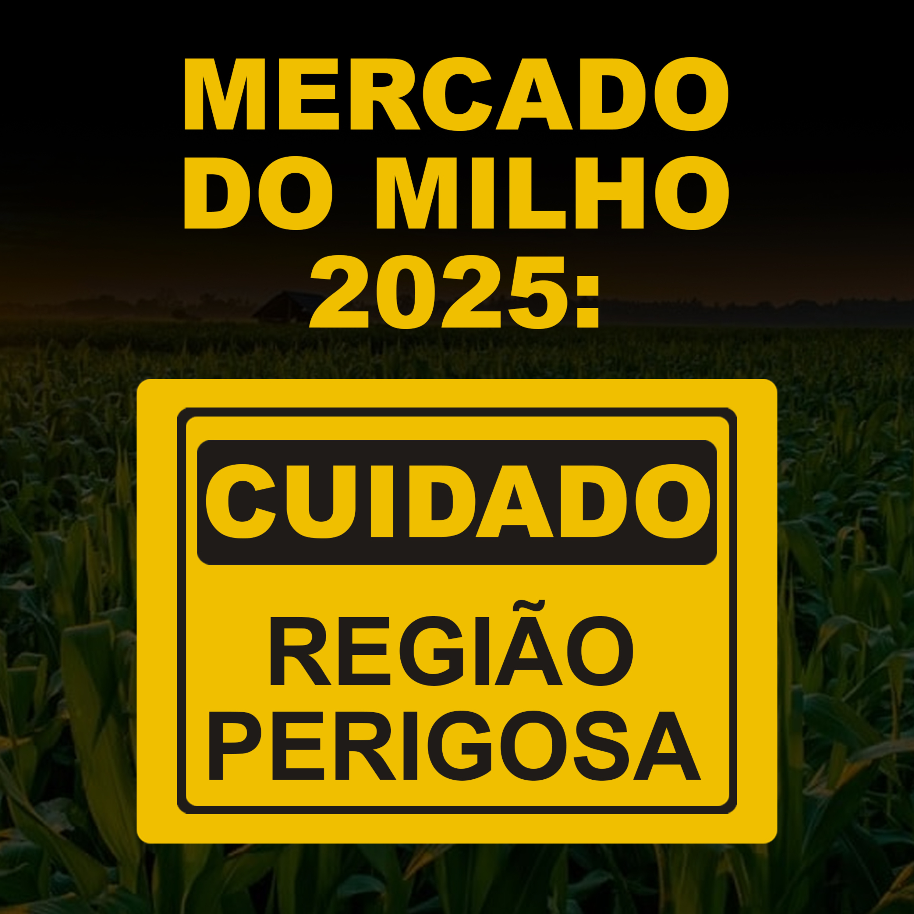 MILHO: CUIDADO, PRODUTOR! HÁ RISCOS POR TODOS OS LADOS! episode artwork