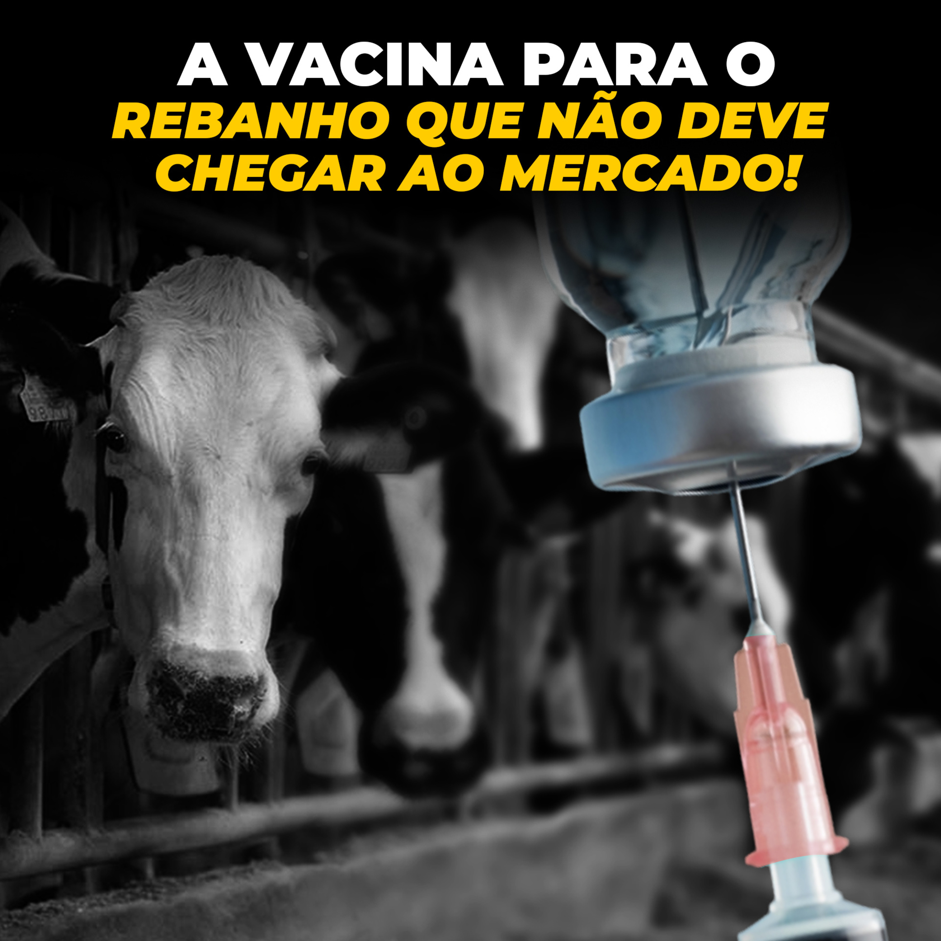 A VACINA PARA O REBANHO QUE NÃO DEVE CHEGAR AO MERCADO! episode artwork